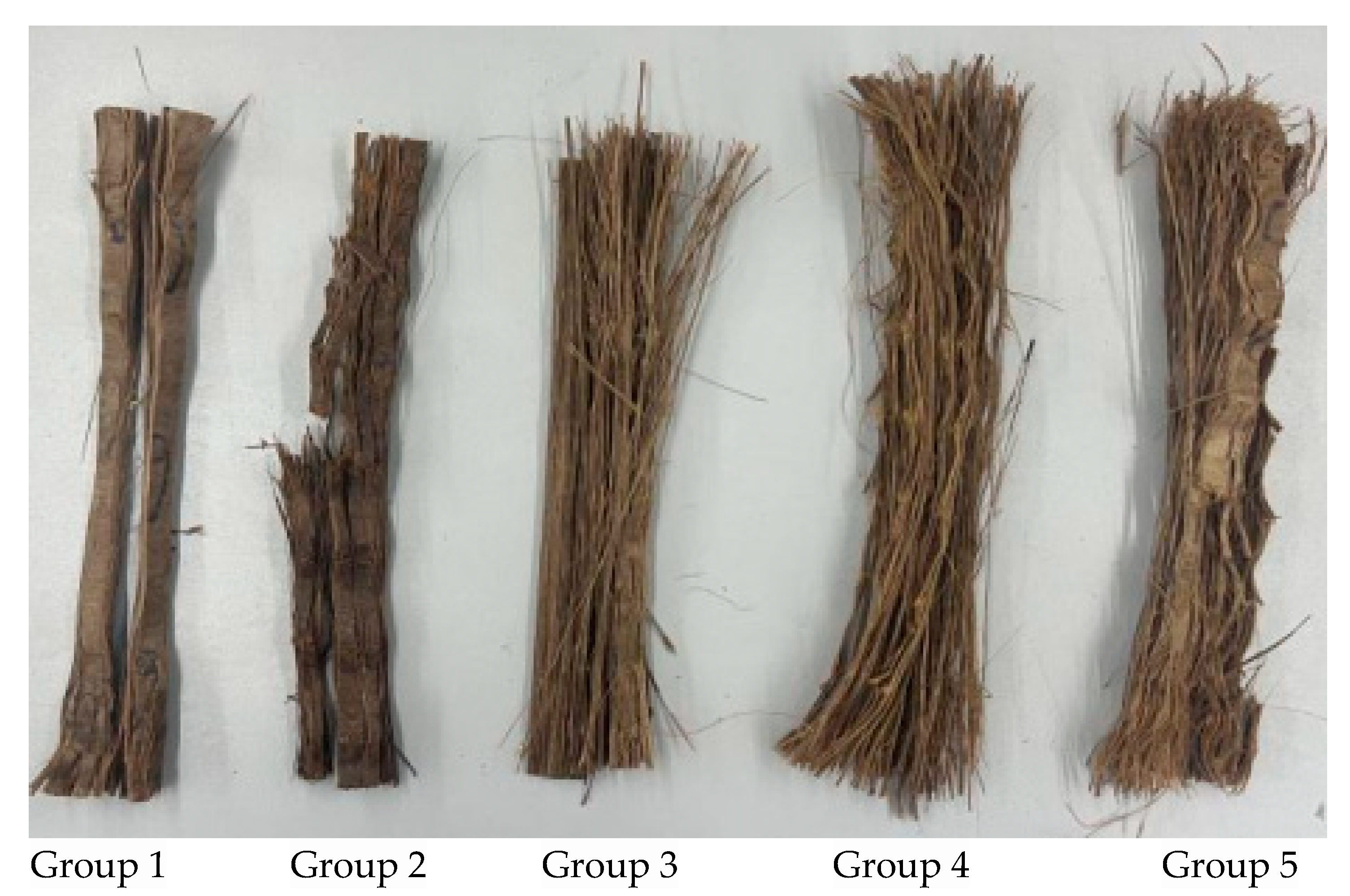 Forests 15 01754 g007