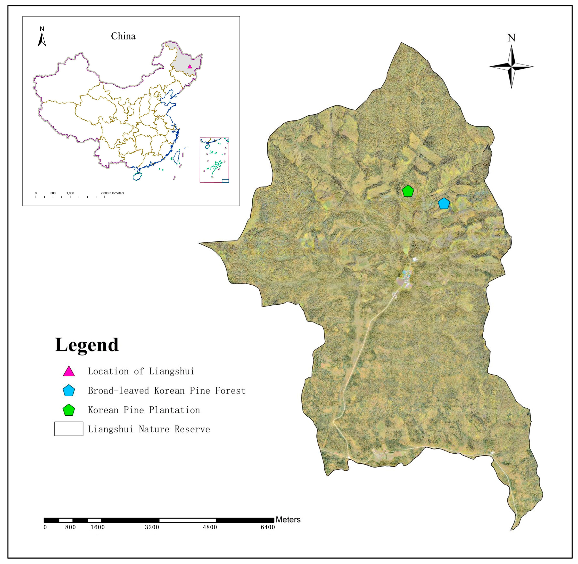 Forests 15 01764 g001