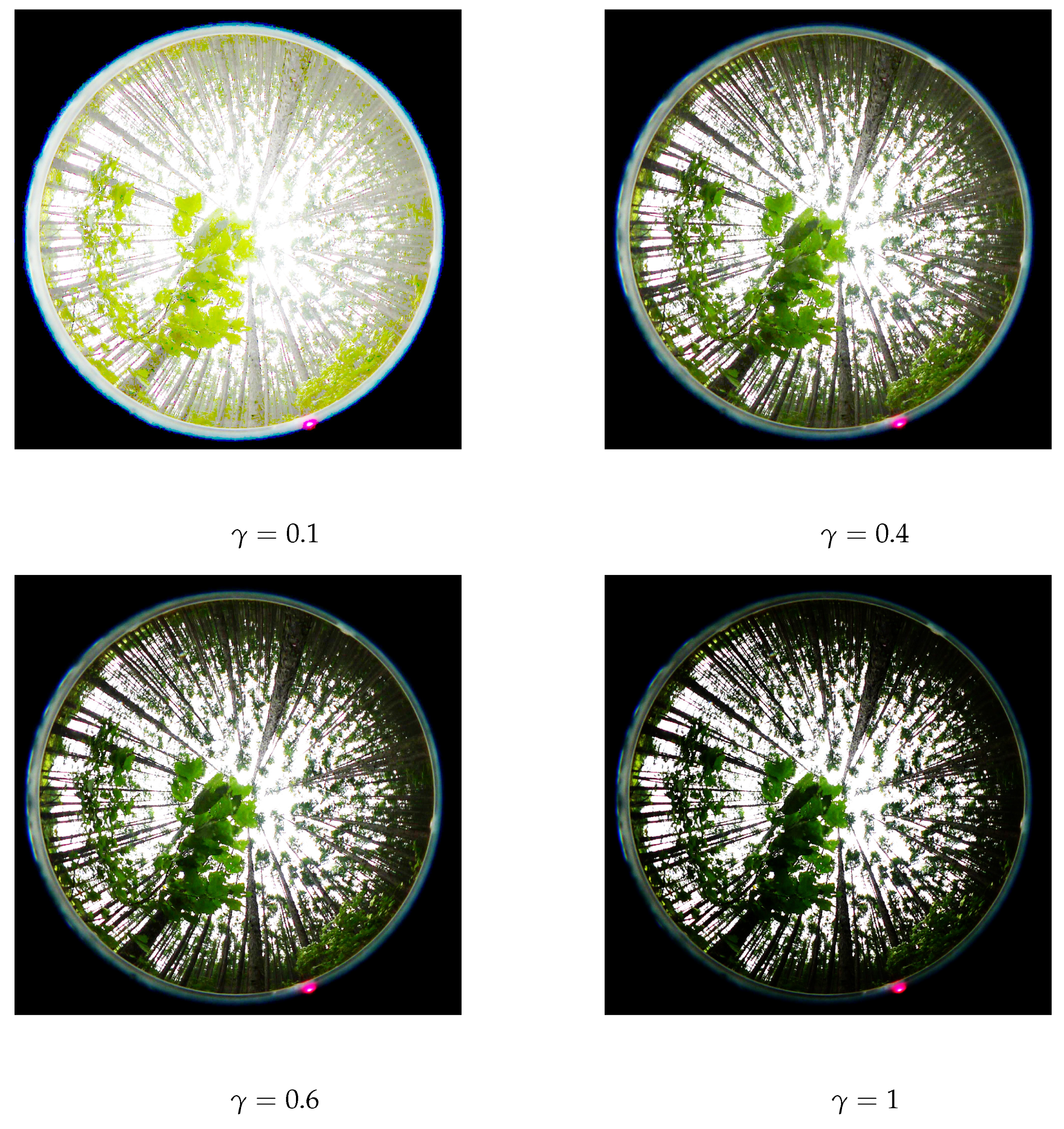 Forests 15 01783 g008
