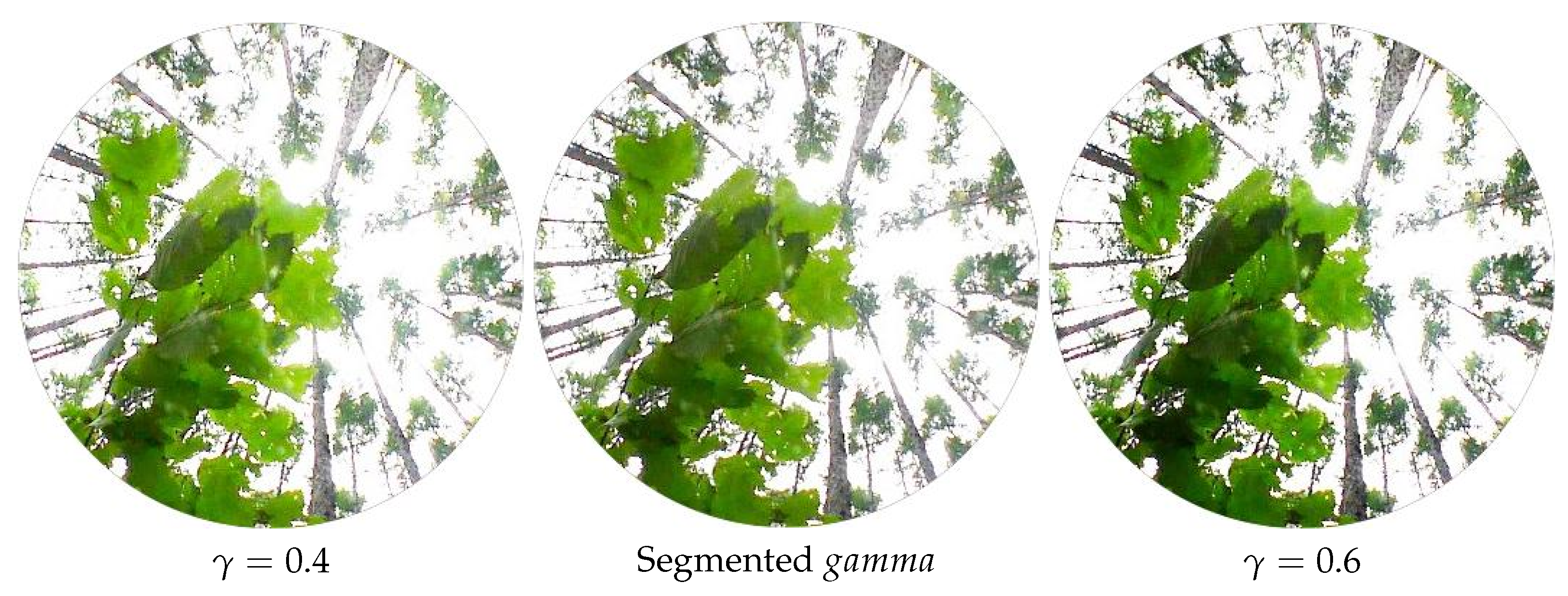 Forests 15 01783 g009