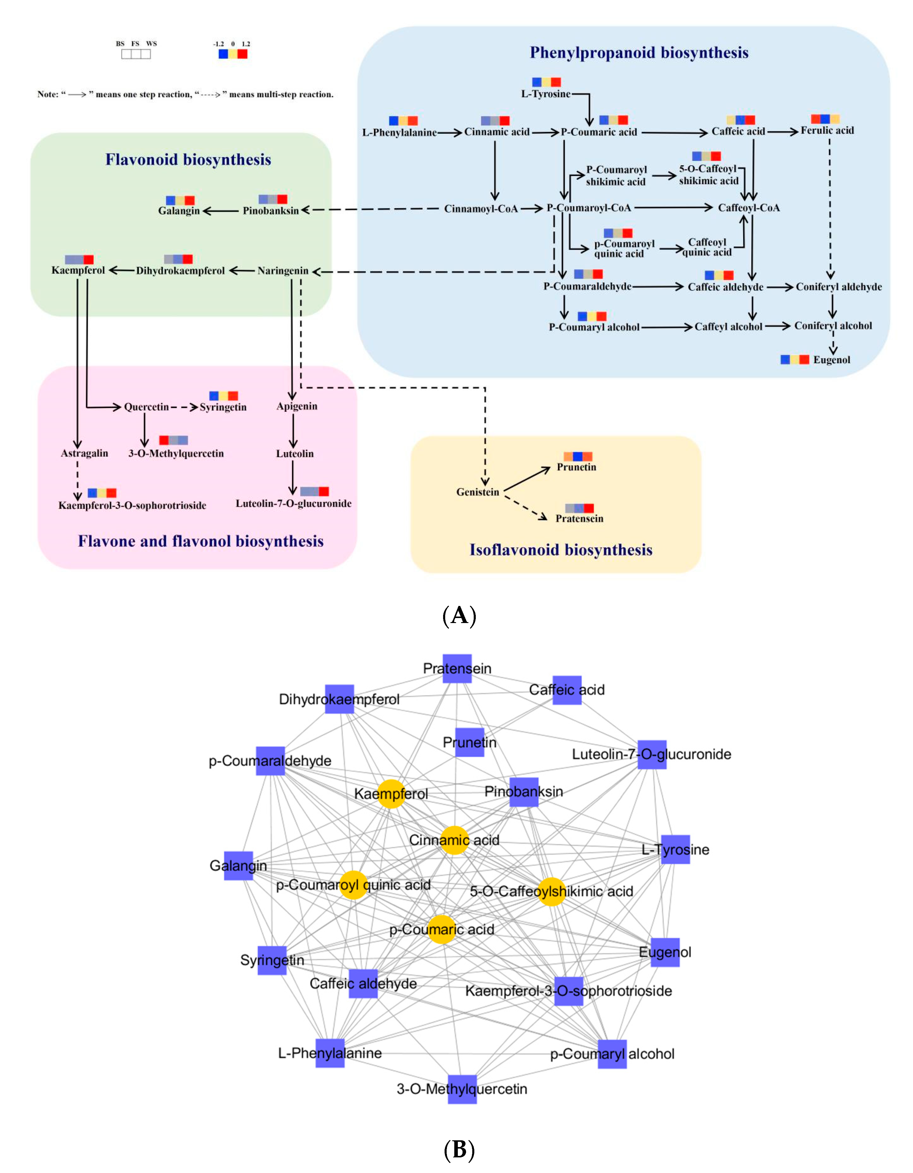 Forests 15 01795 g007 Forests 15 01795 g007