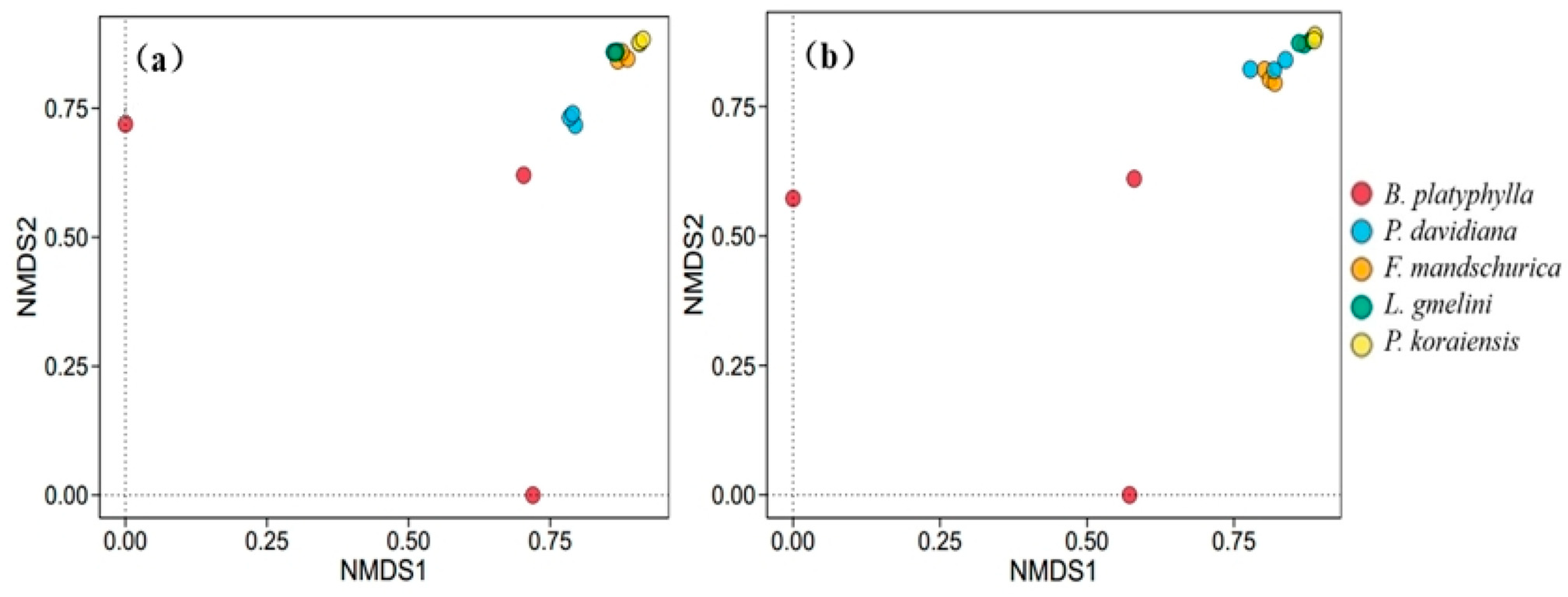 Forests 15 01815 g004