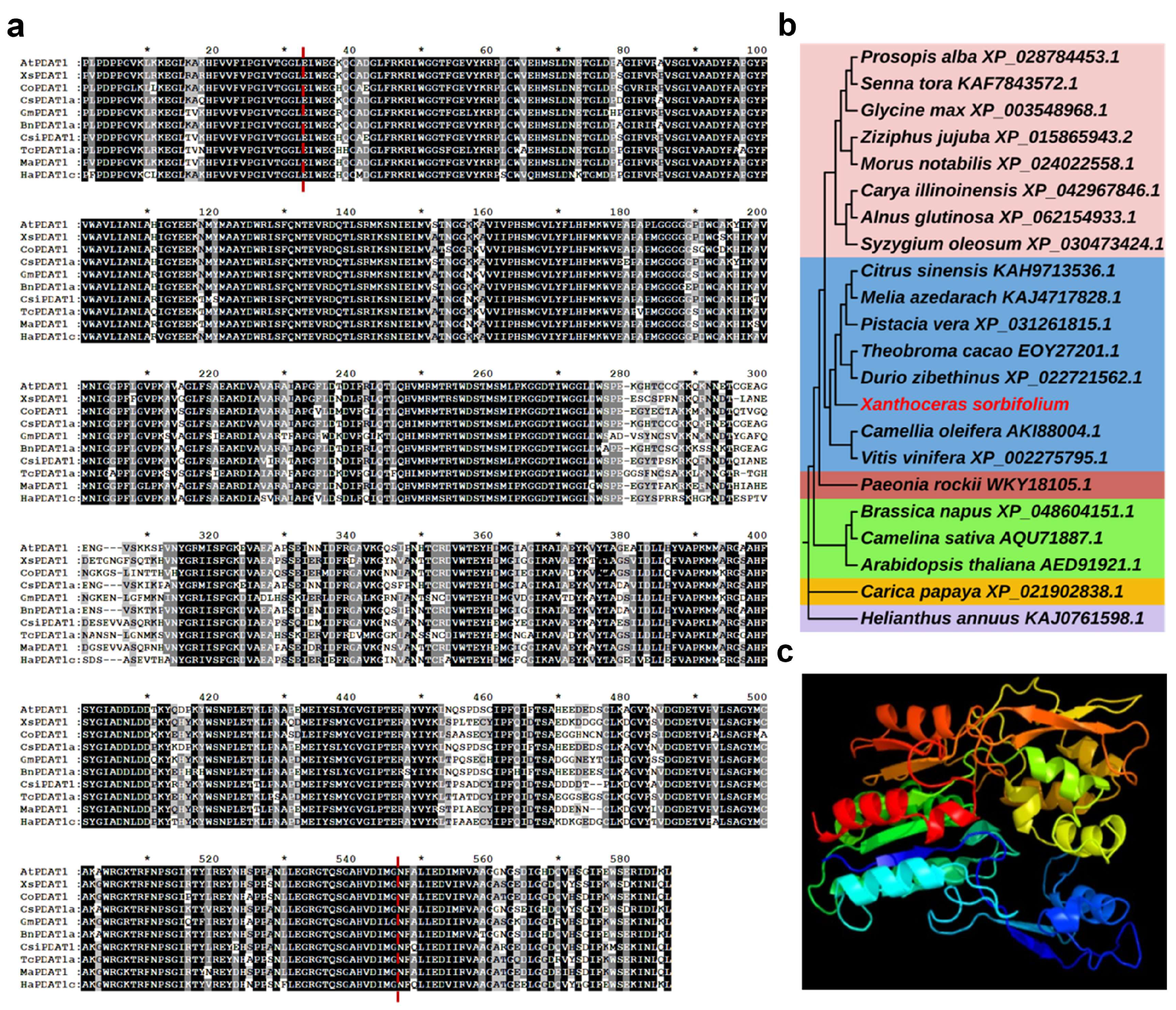 Forests 15 01822 g001