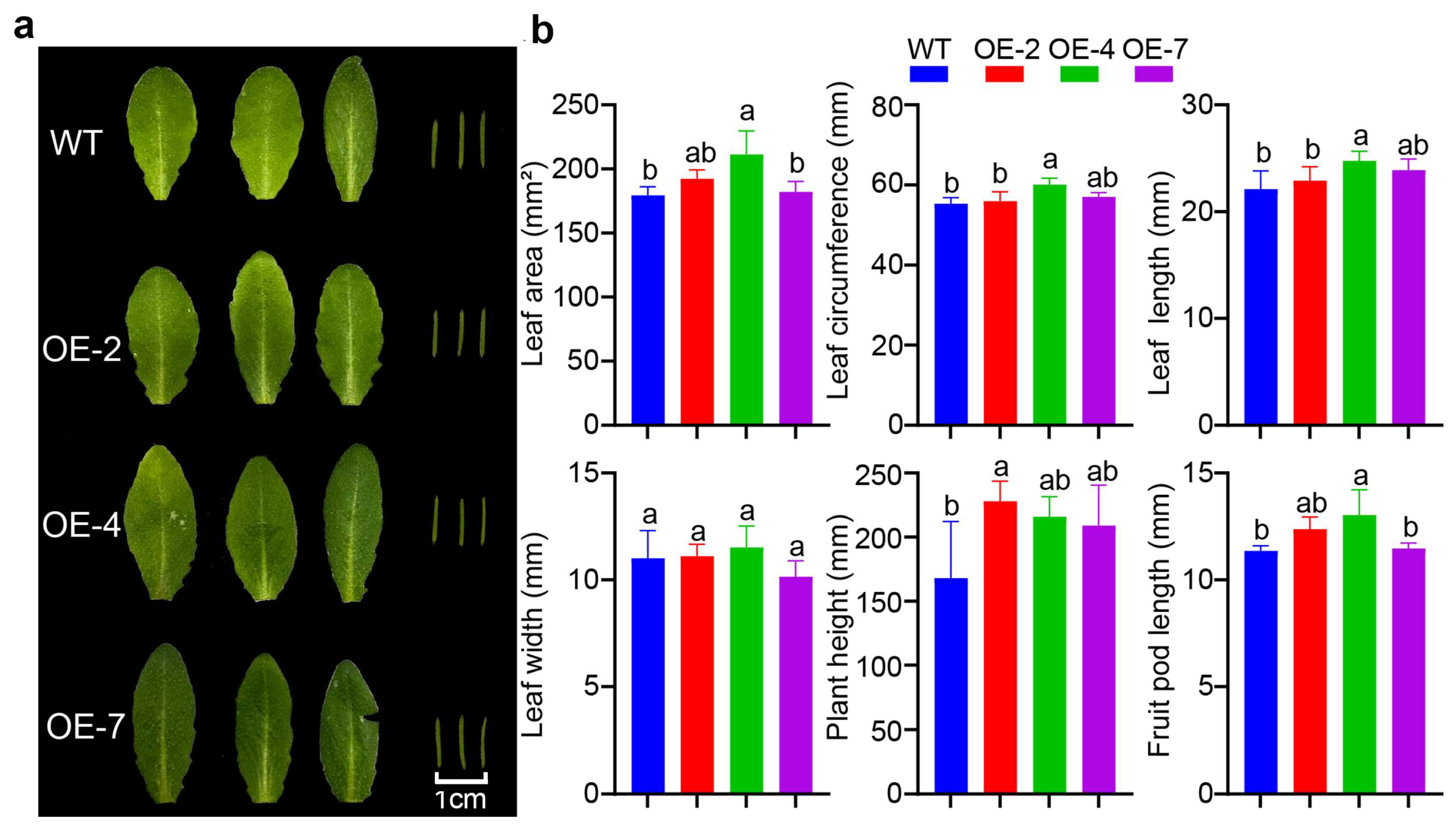Forests 15 01822 g004