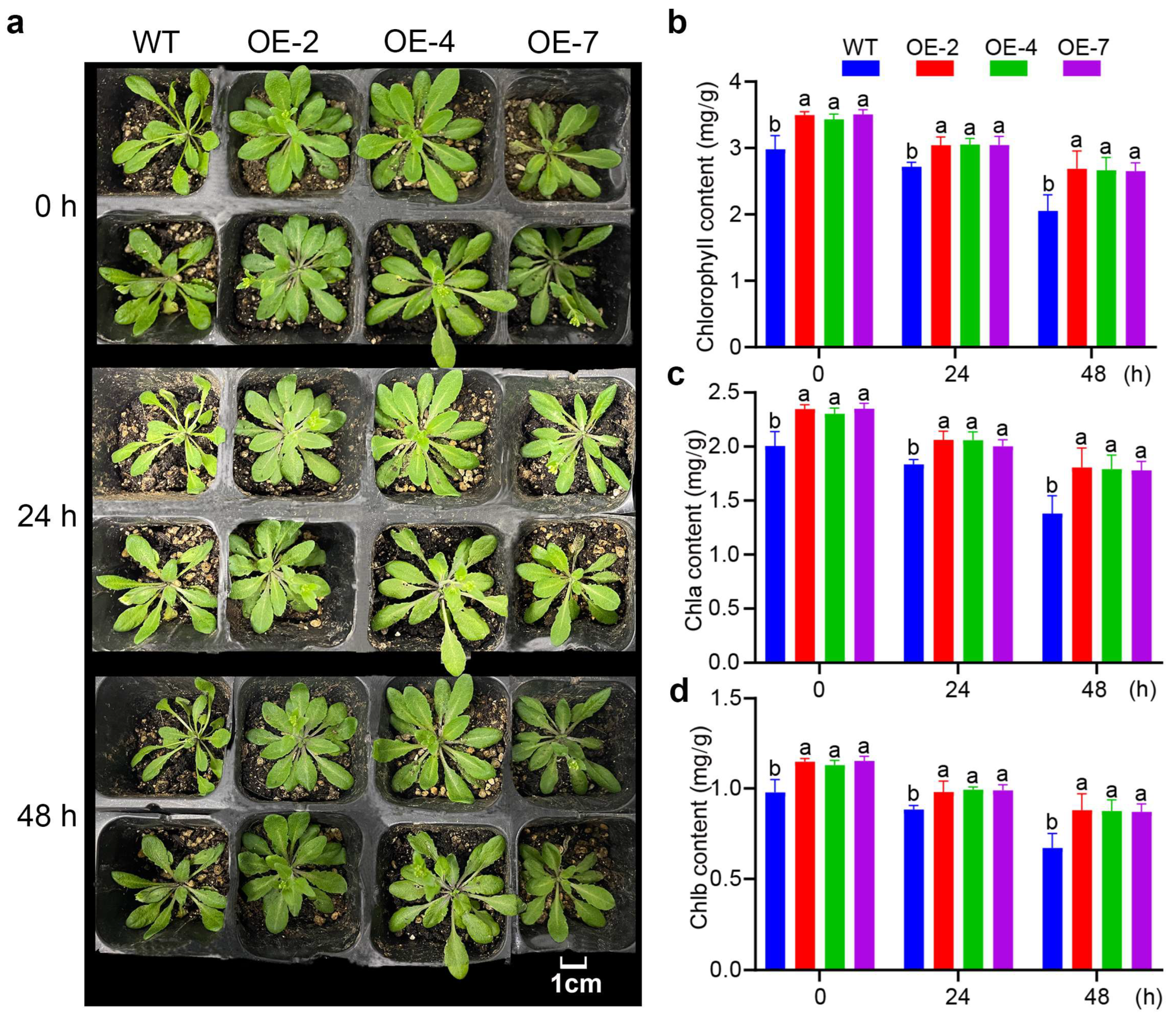 Forests 15 01822 g005