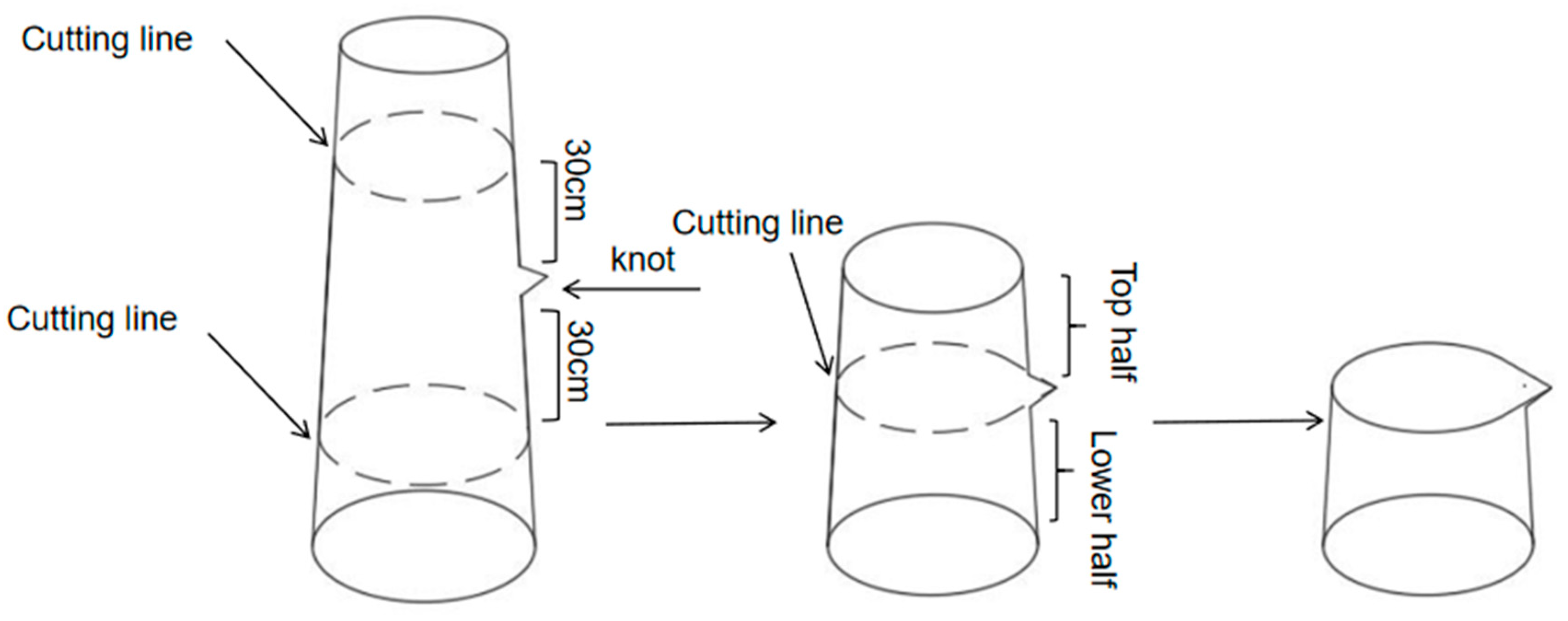 Forests 15 01858 g001