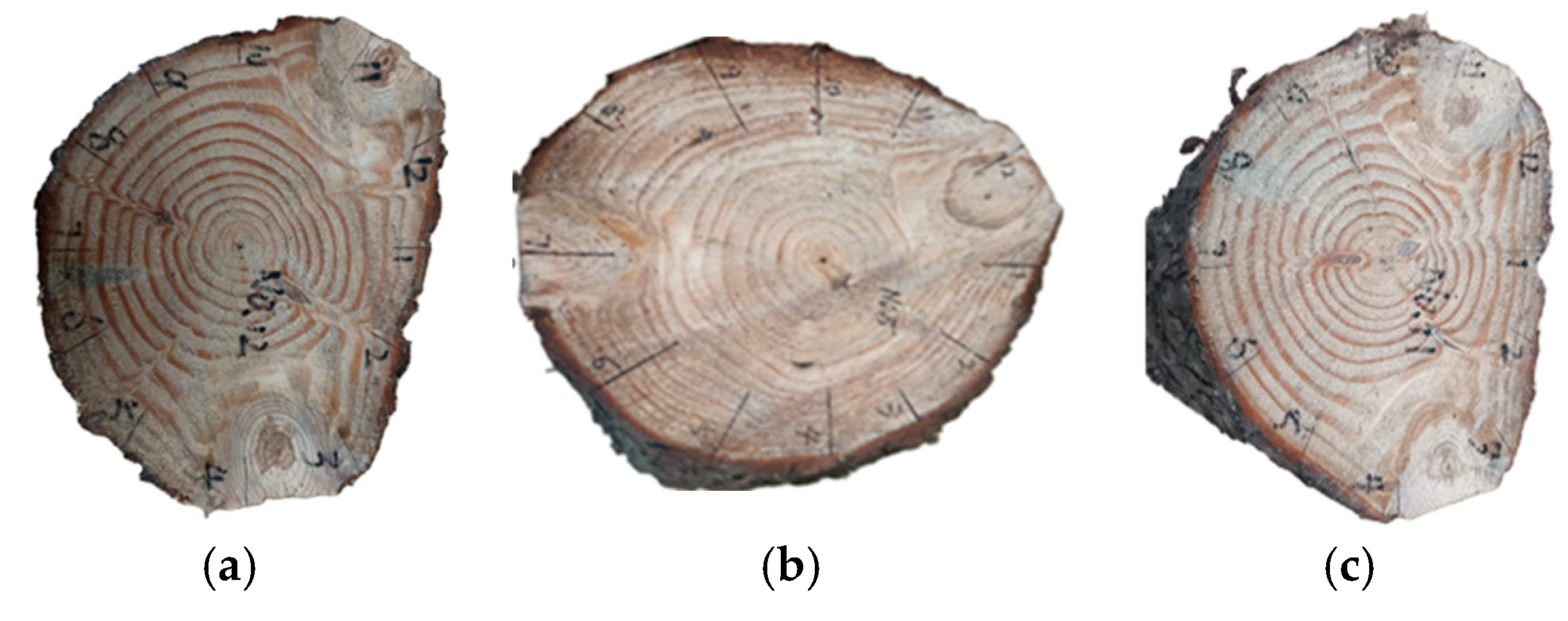 Forests 15 01858 g003