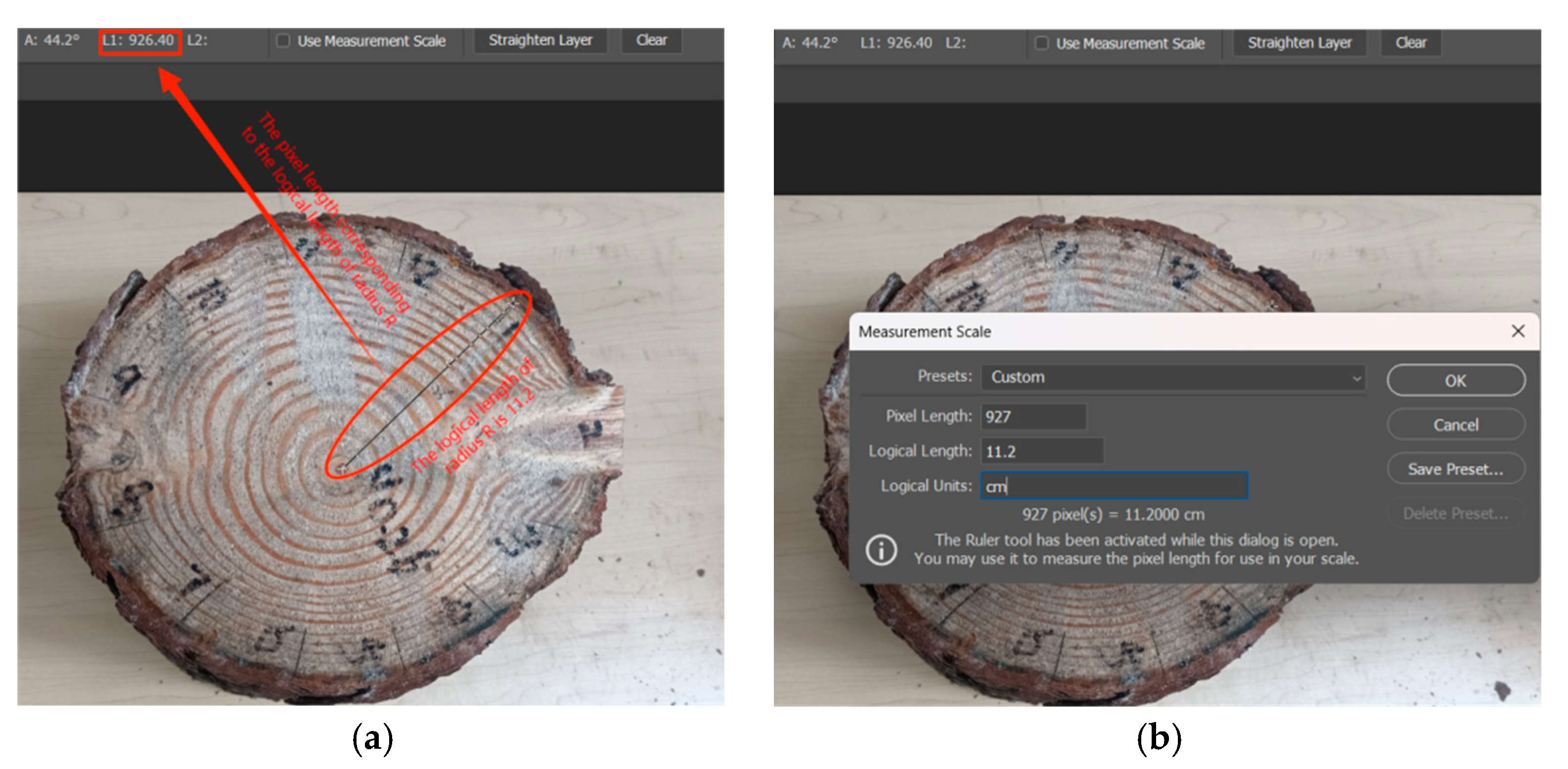 Forests 15 01858 g004