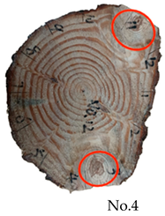 Forests 15 01858 i010