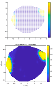 Forests 15 01858 i015