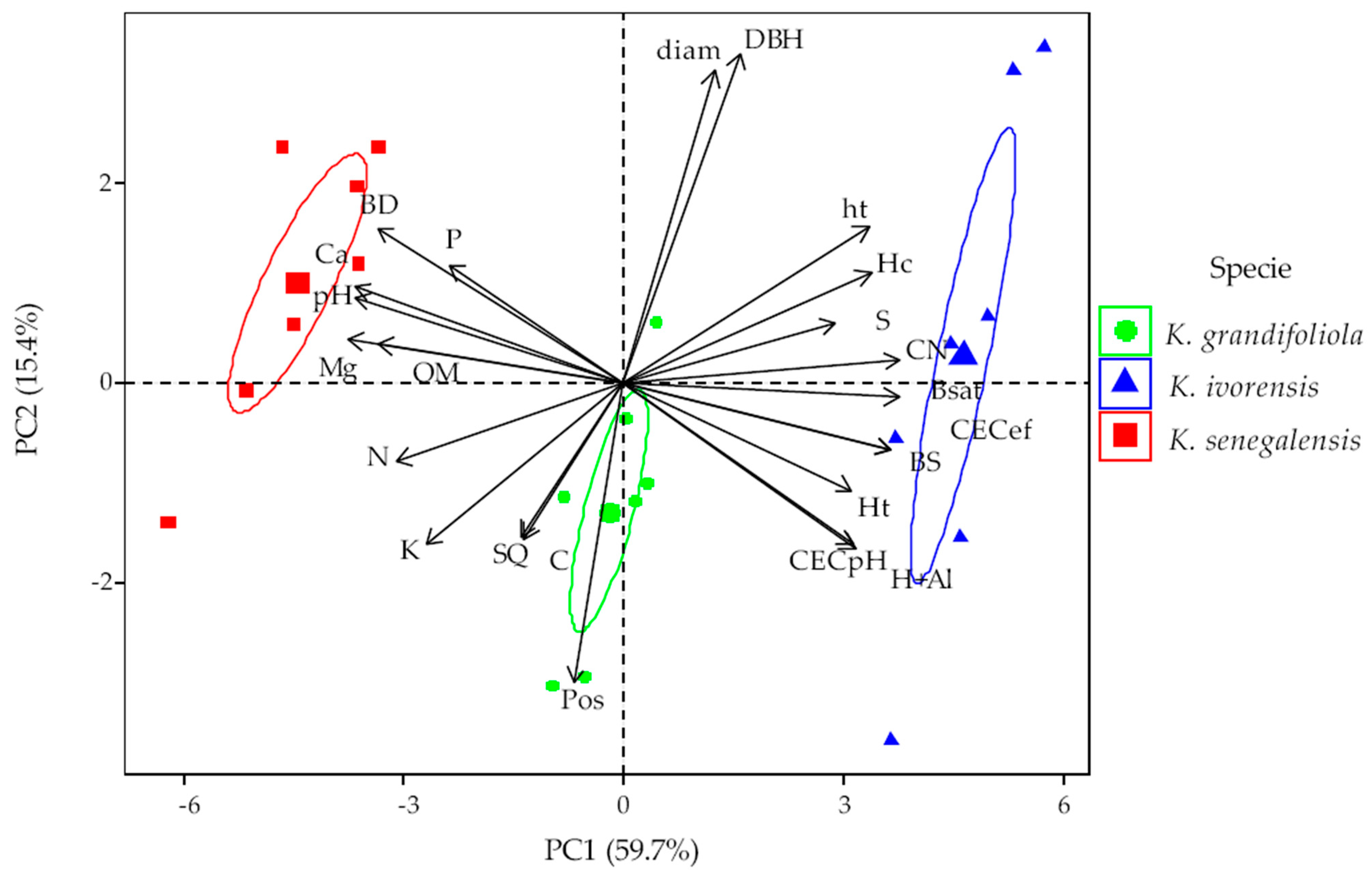 Forests 15 01923 g009 Forests 15 01923 g009