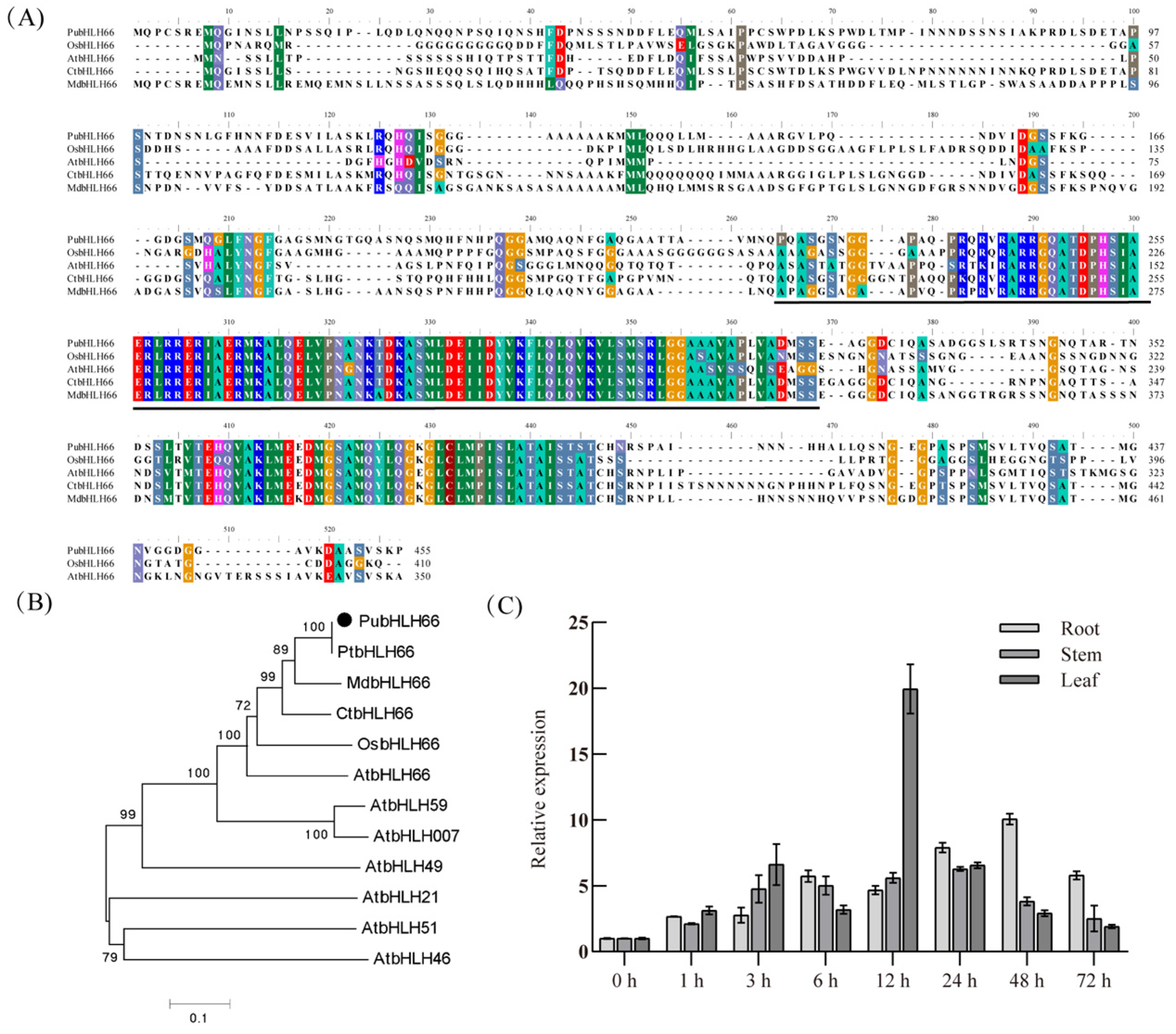 Forests 15 02051 g001 Forests 15 02051 g001