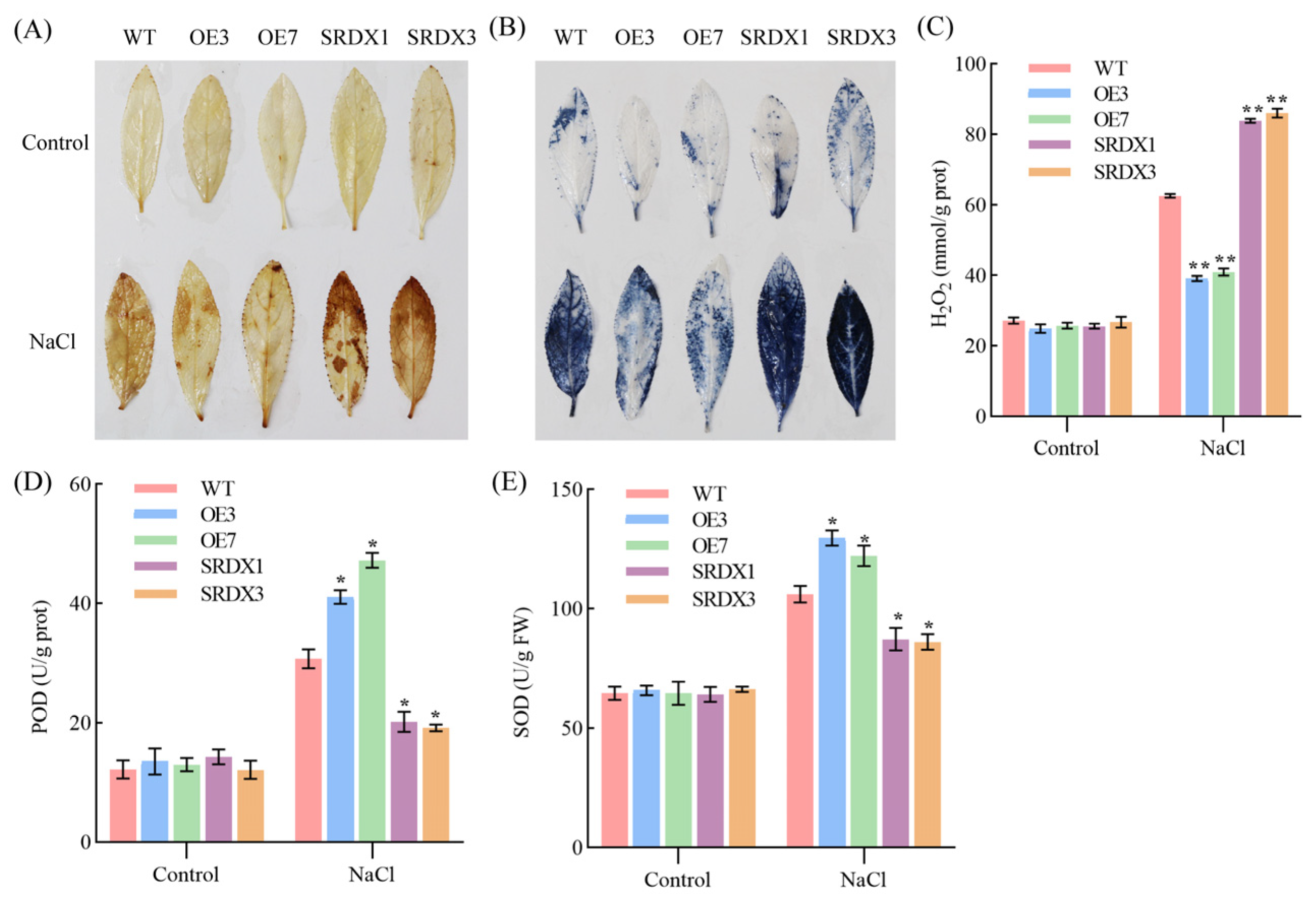 Forests 15 02051 g004 Forests 15 02051 g004