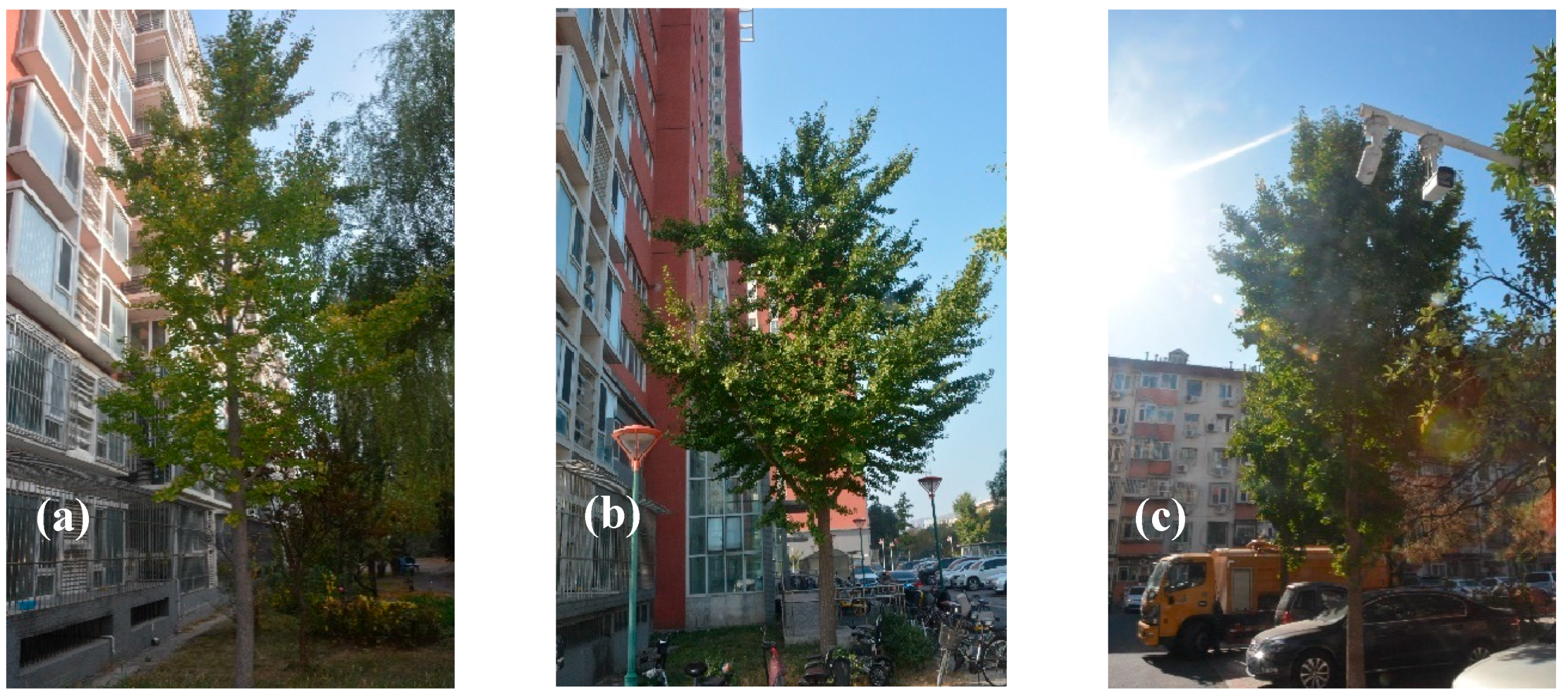 Forests 15 02053 g002a