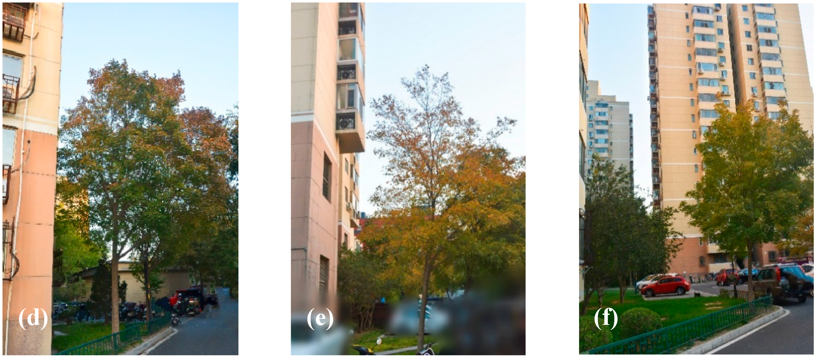 Forests 15 02053 g002b