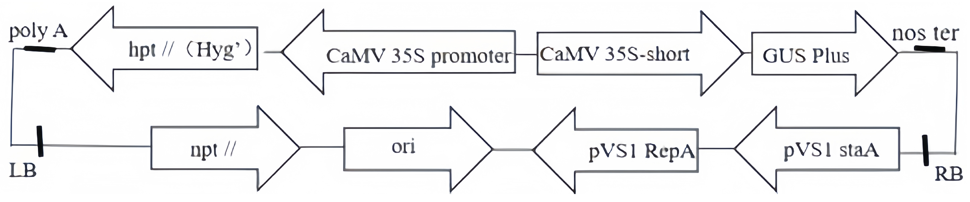 Forests 15 02058 g001 Forests 15 02058 g001