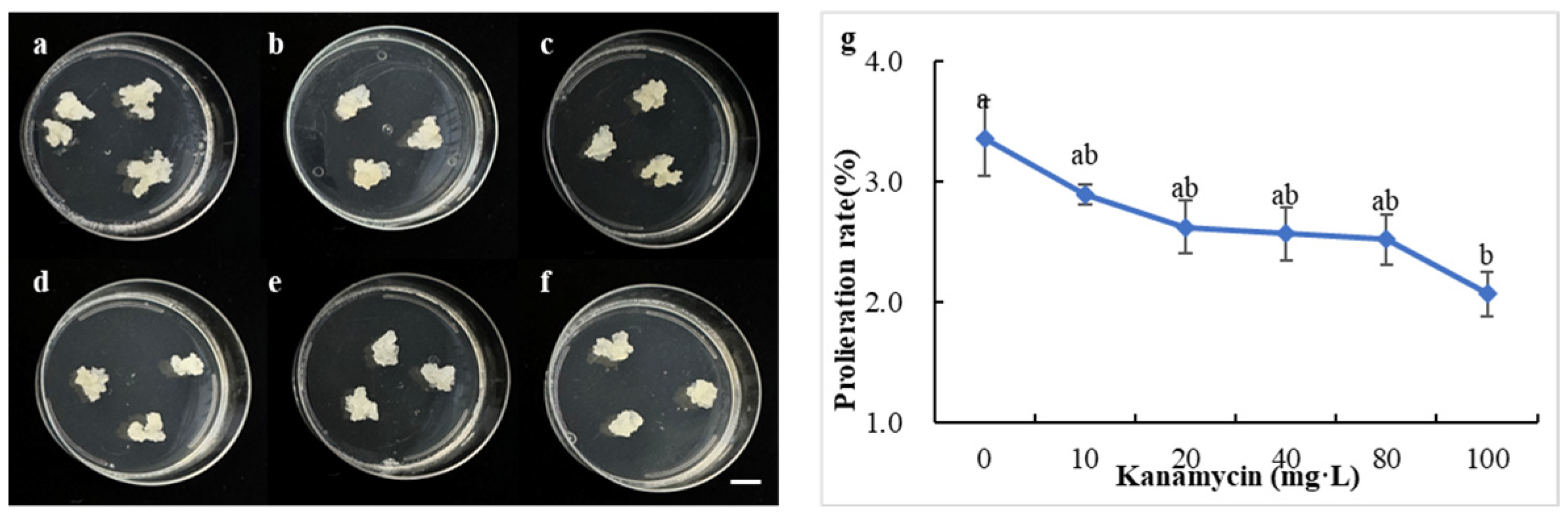 Forests 15 02058 g003 Forests 15 02058 g003