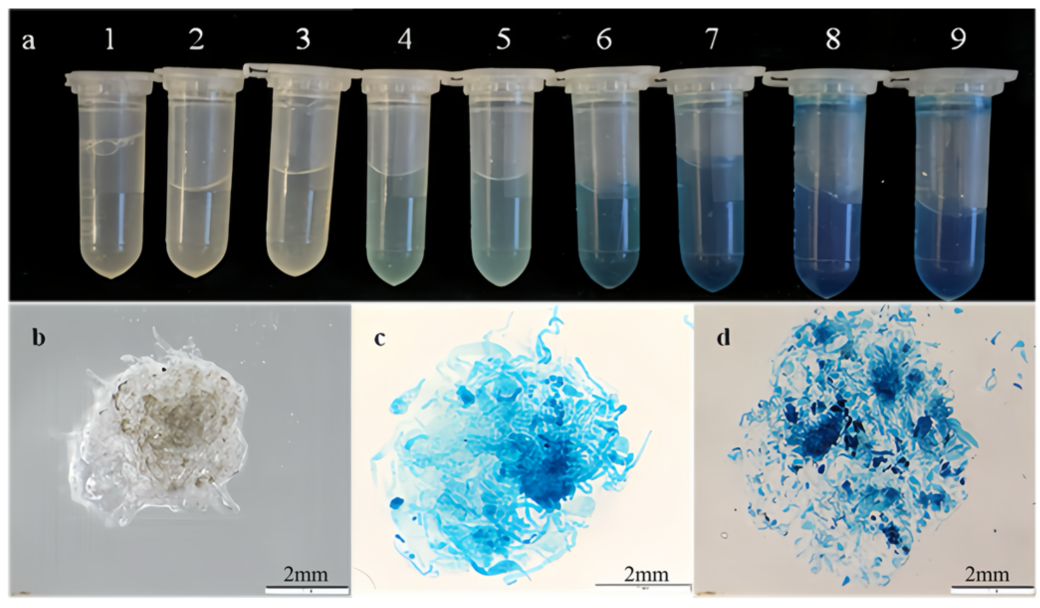 Forests 15 02058 g005 Forests 15 02058 g005