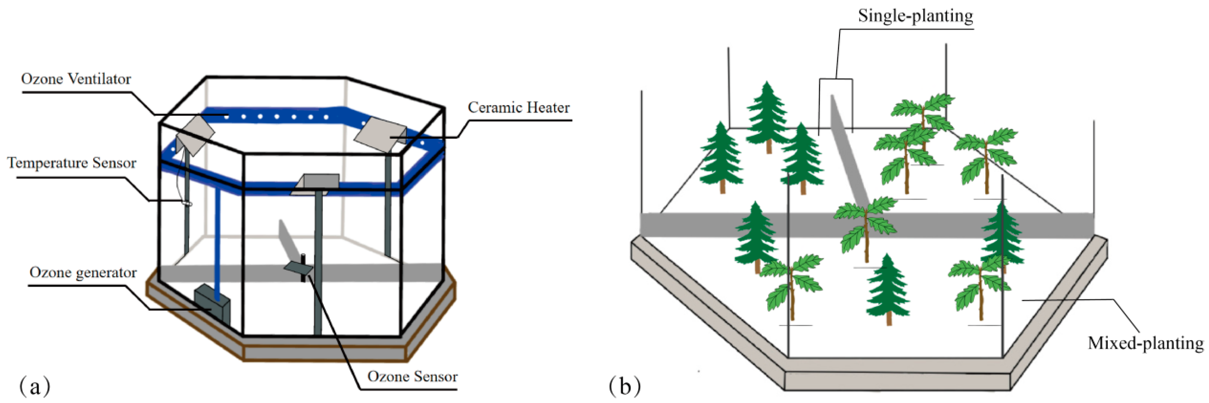 Forests 15 02183 g001