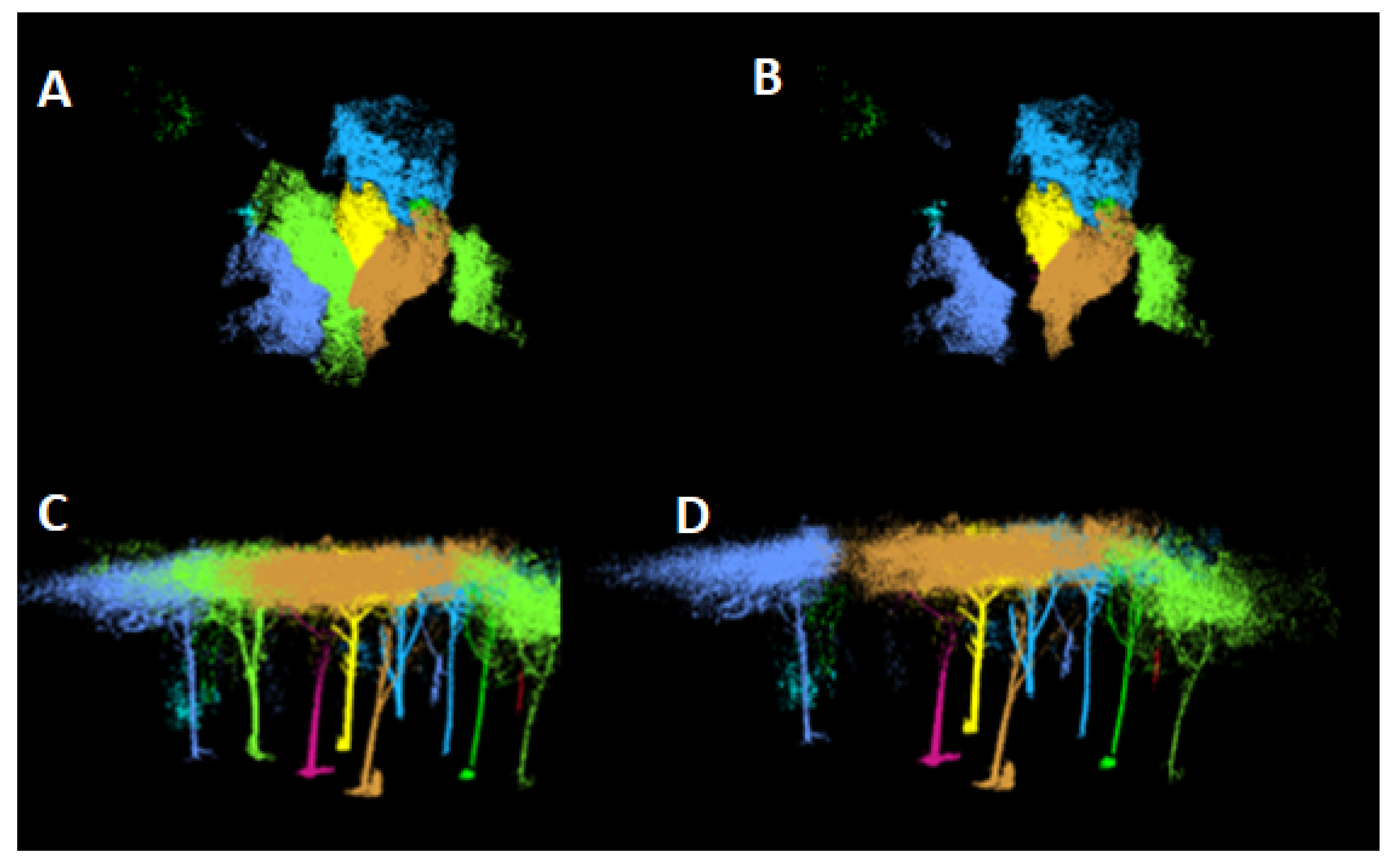 Forests 15 02202 g004