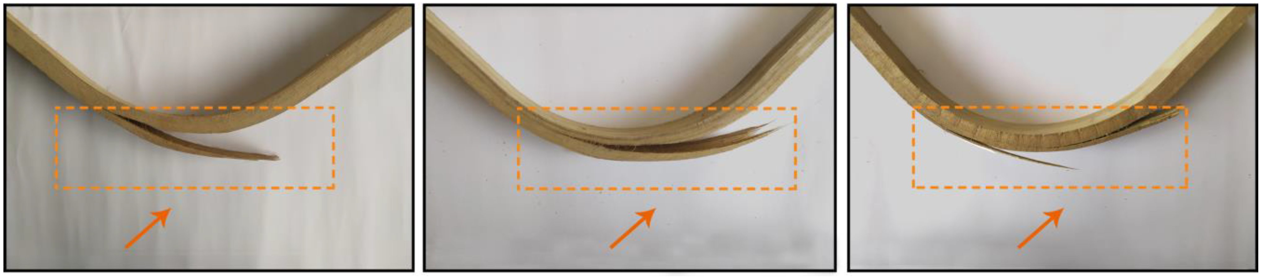 Forests 15 02203 g006