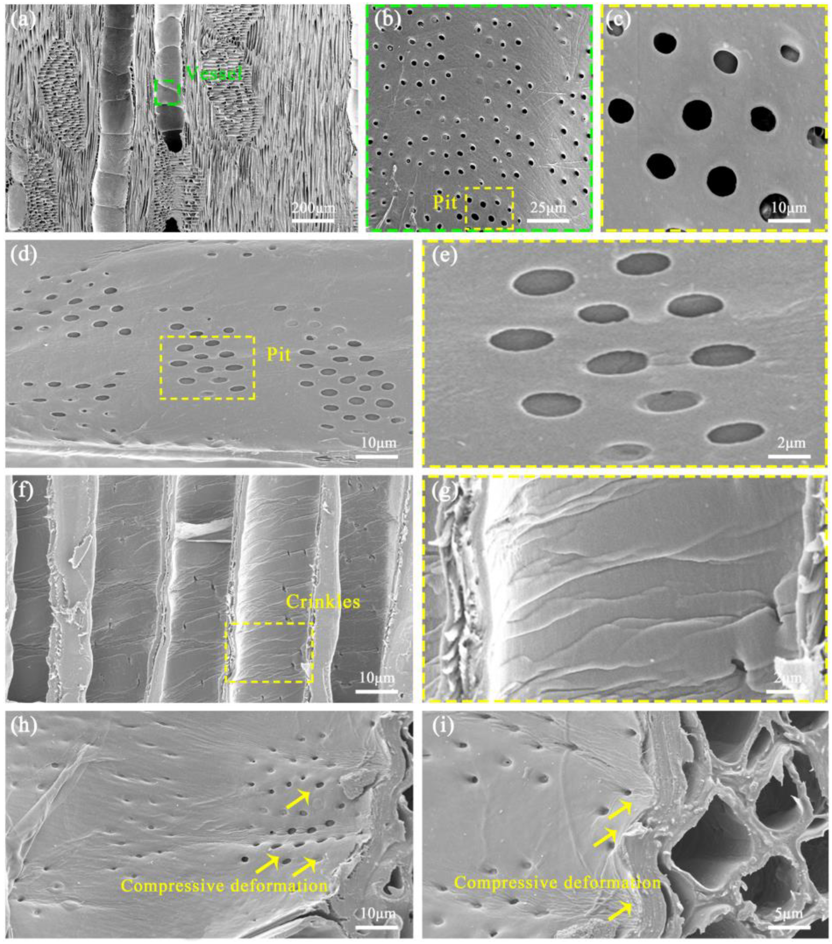 Forests 15 02203 g009