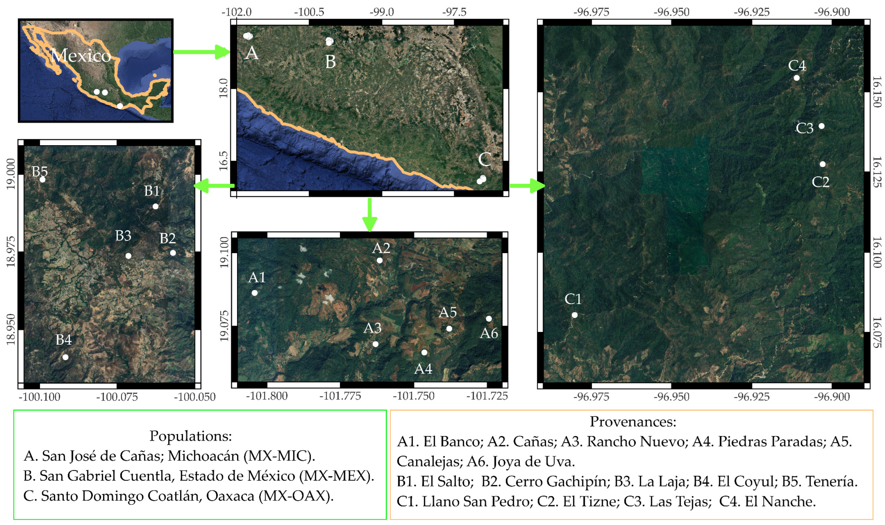 Forests 15 02250 g001 Forests 15 02250 g001