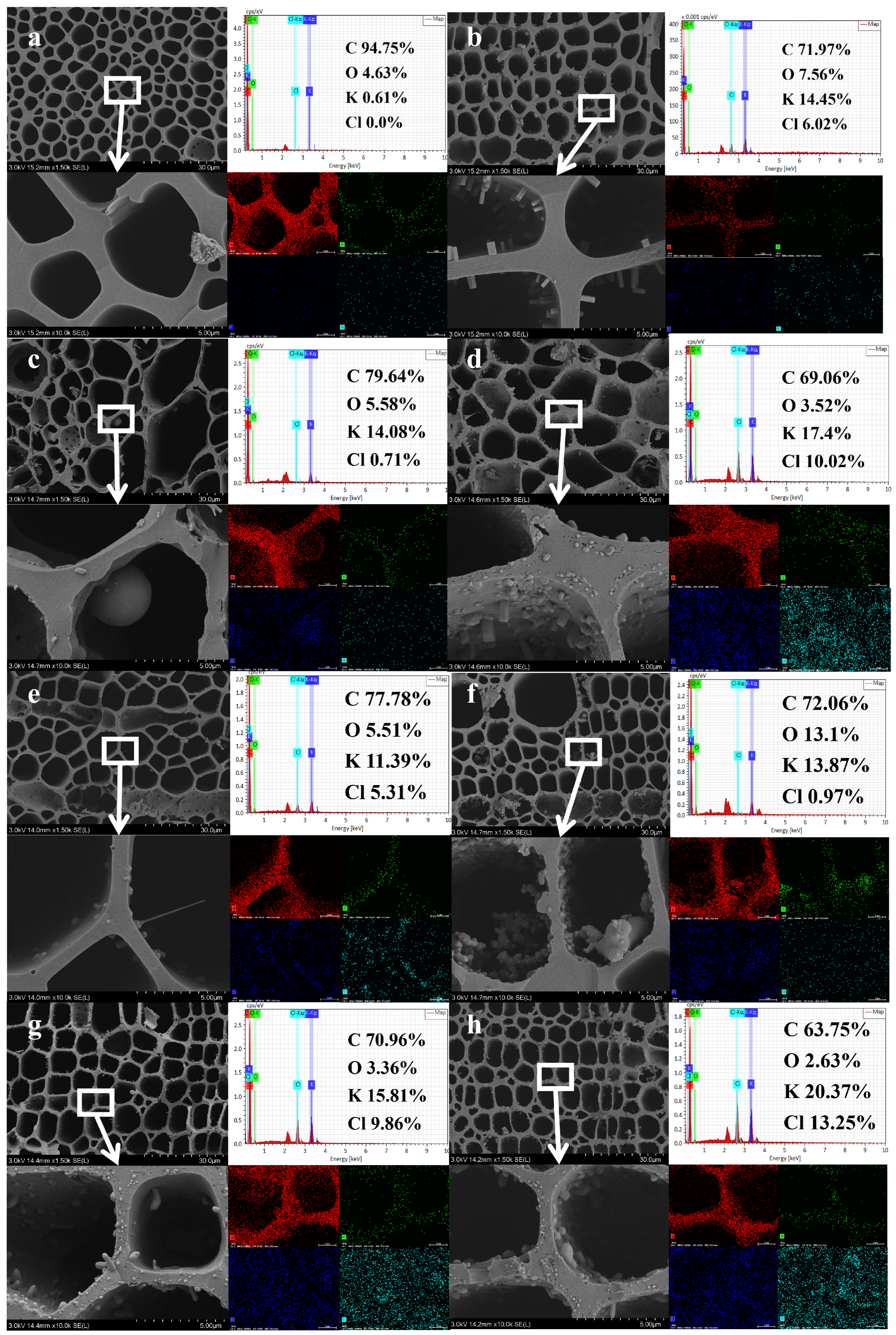 Forests 16 00057 g005