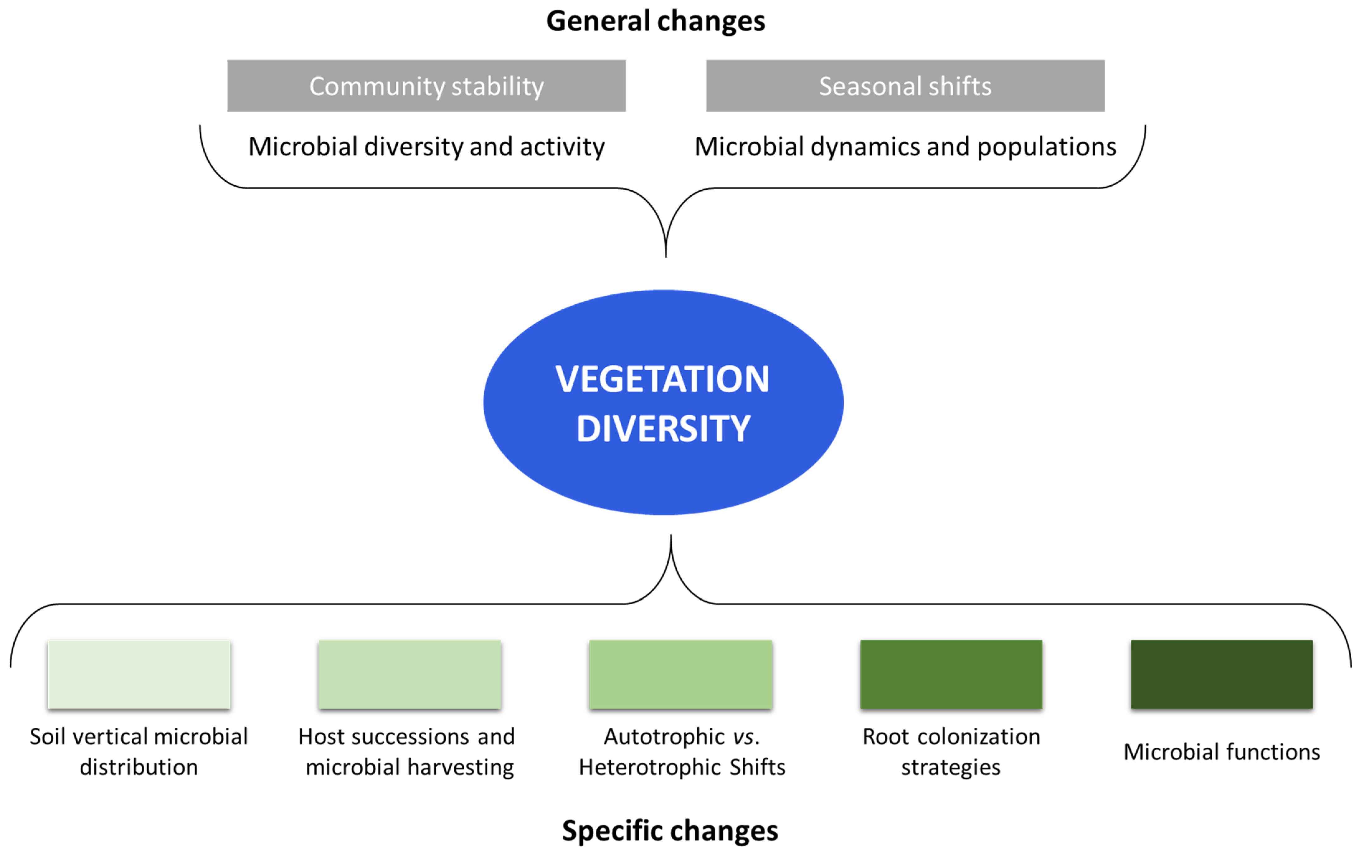 Forests 16 00148 g002