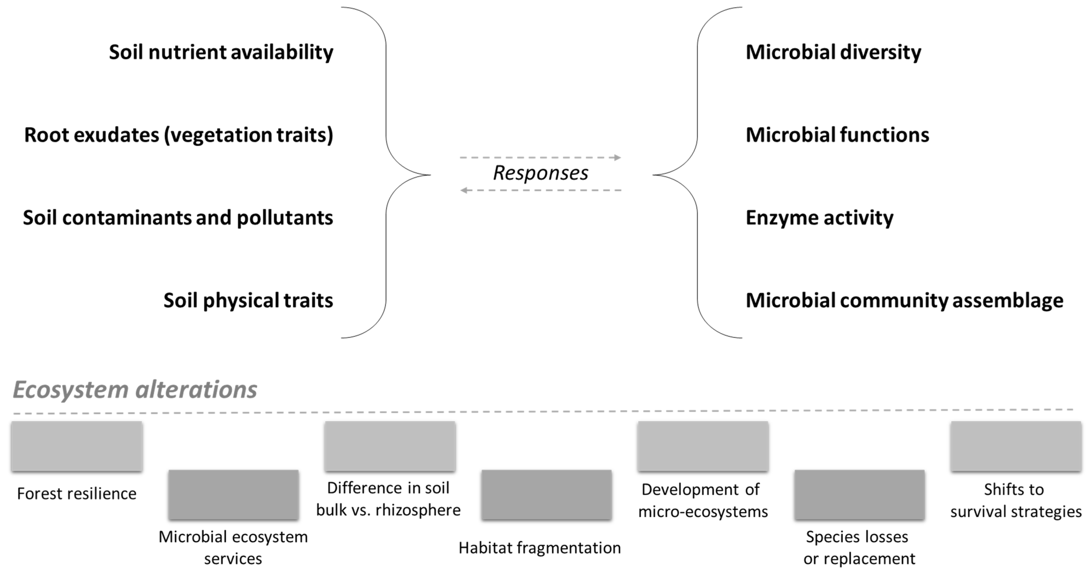 Forests 16 00148 g003