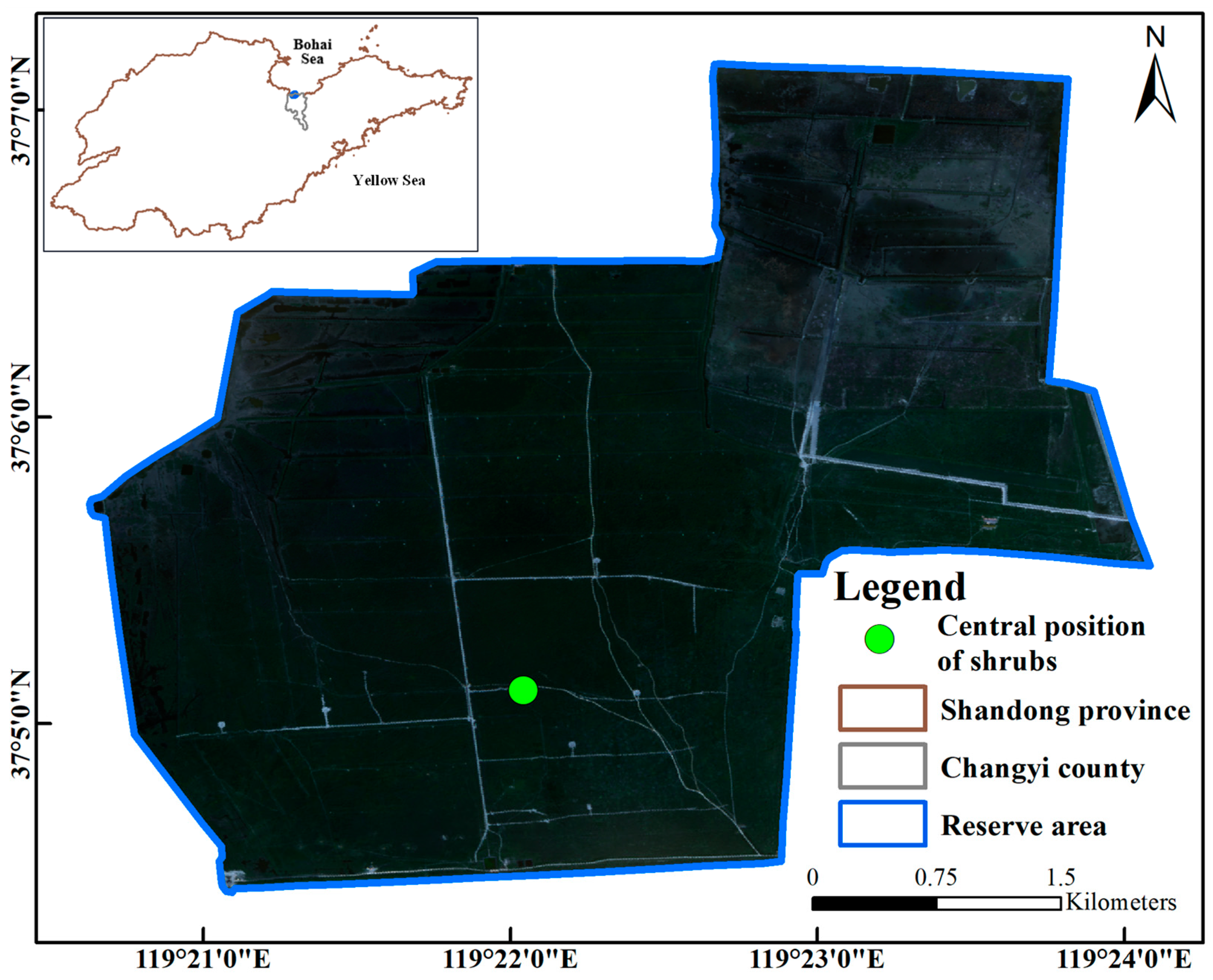 Forests 16 00169 g002