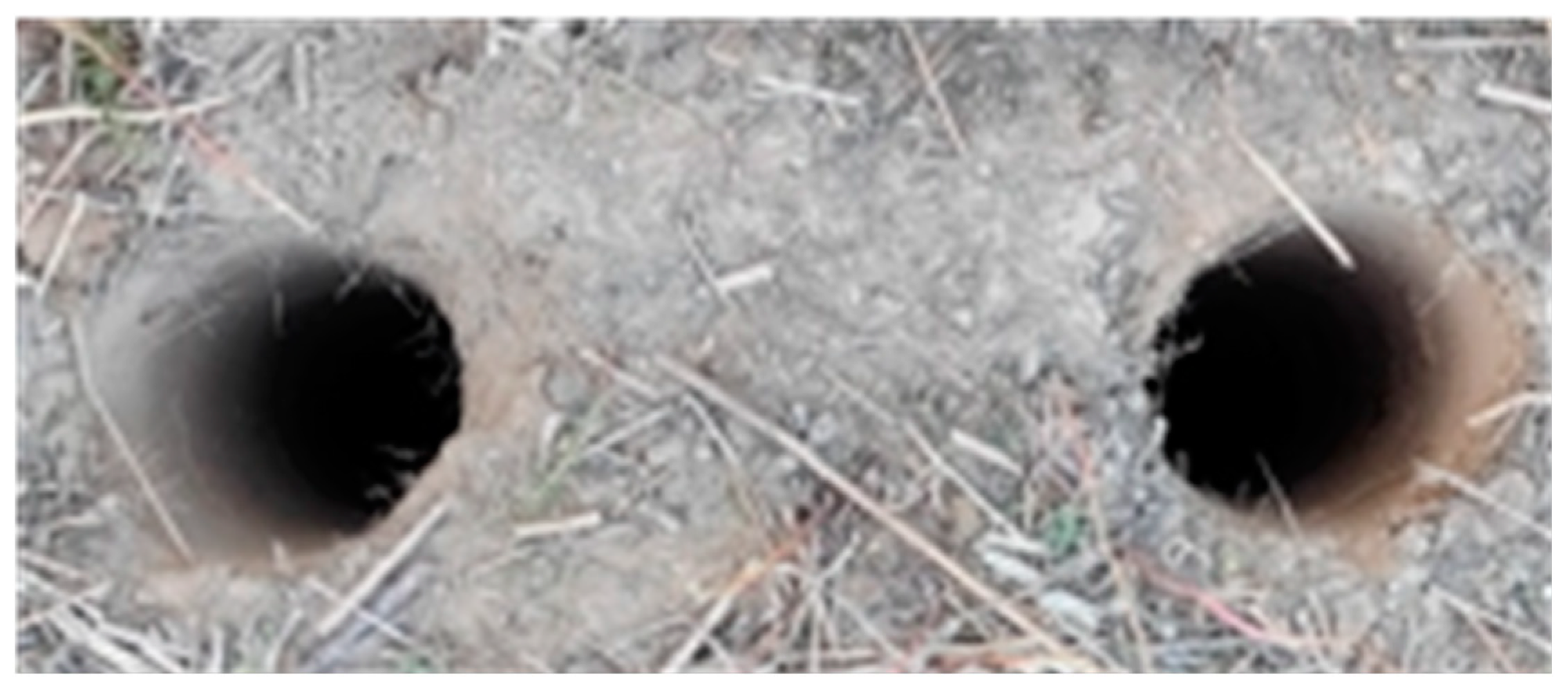 Forests 16 00169 g005