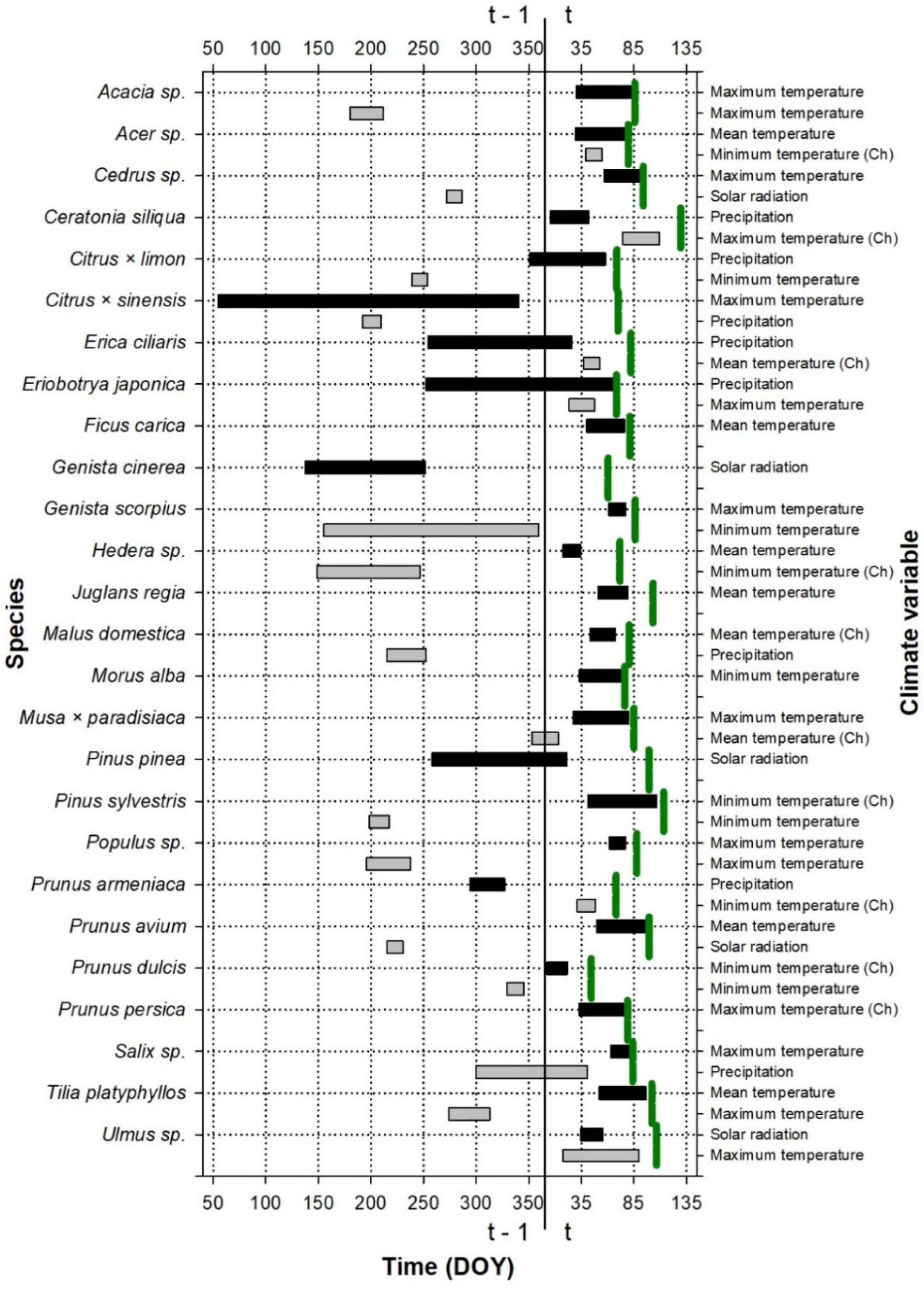 Forests 16 00175 g001 Forests 16 00175 g001