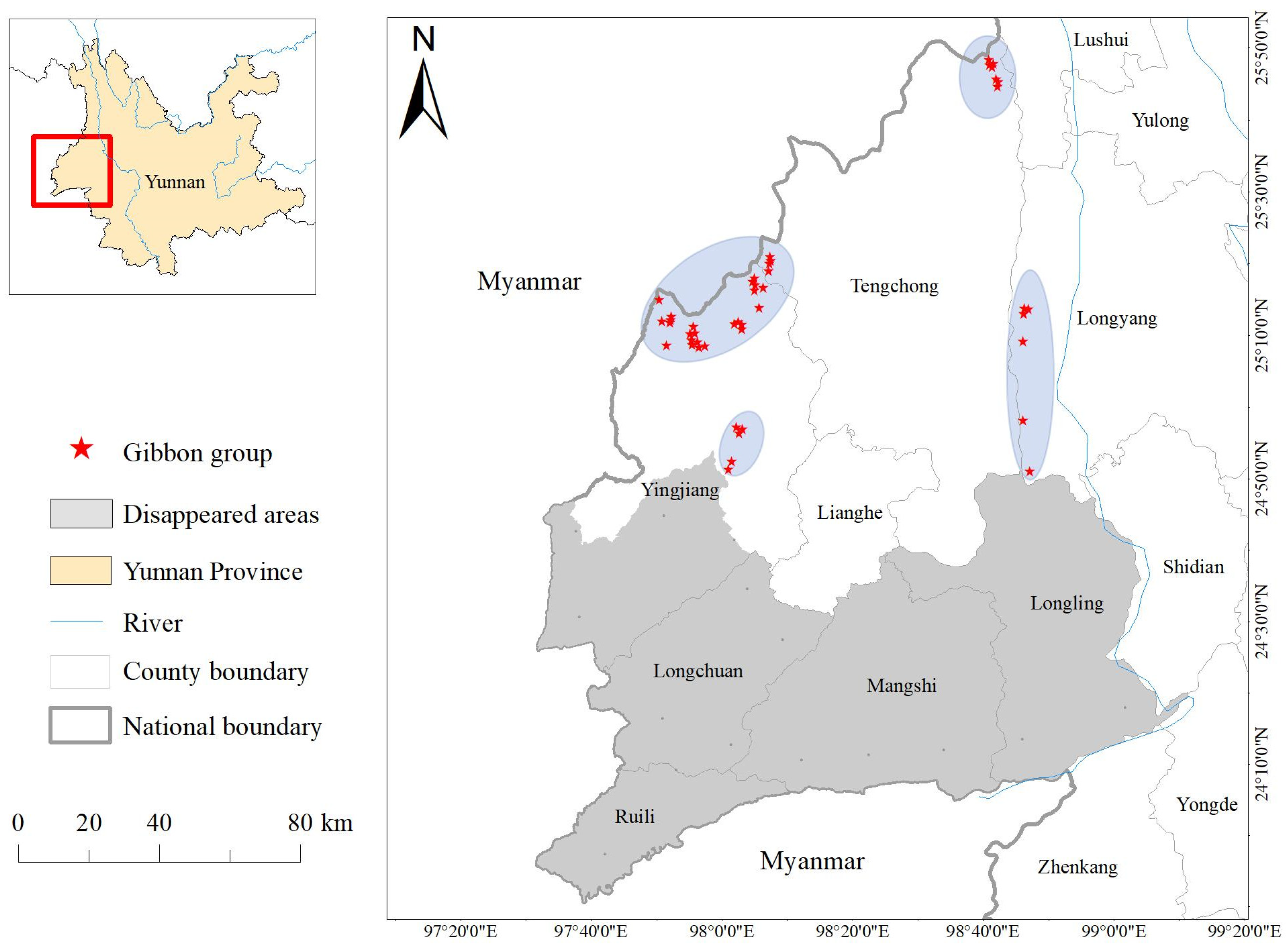 Forests 16 00285 g001