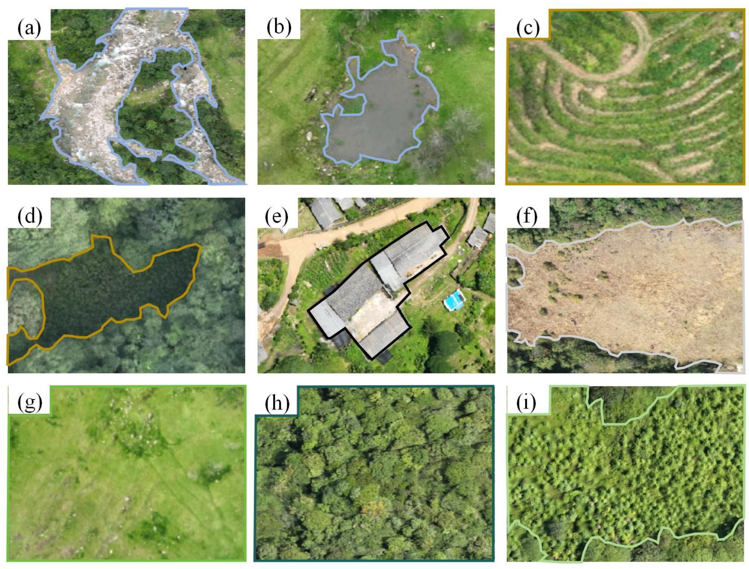 Forests 16 00285 g003