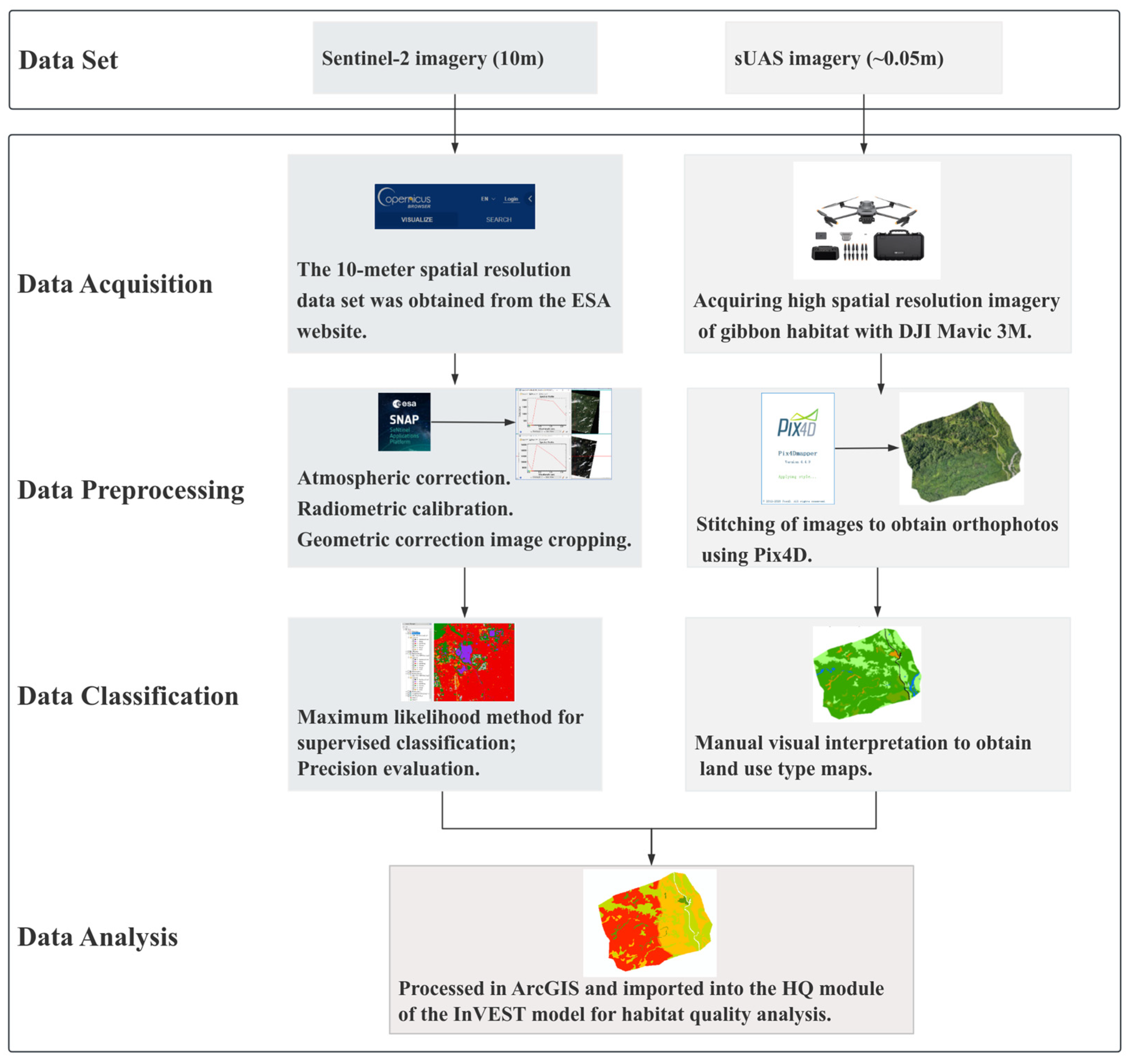 Forests 16 00285 g004
