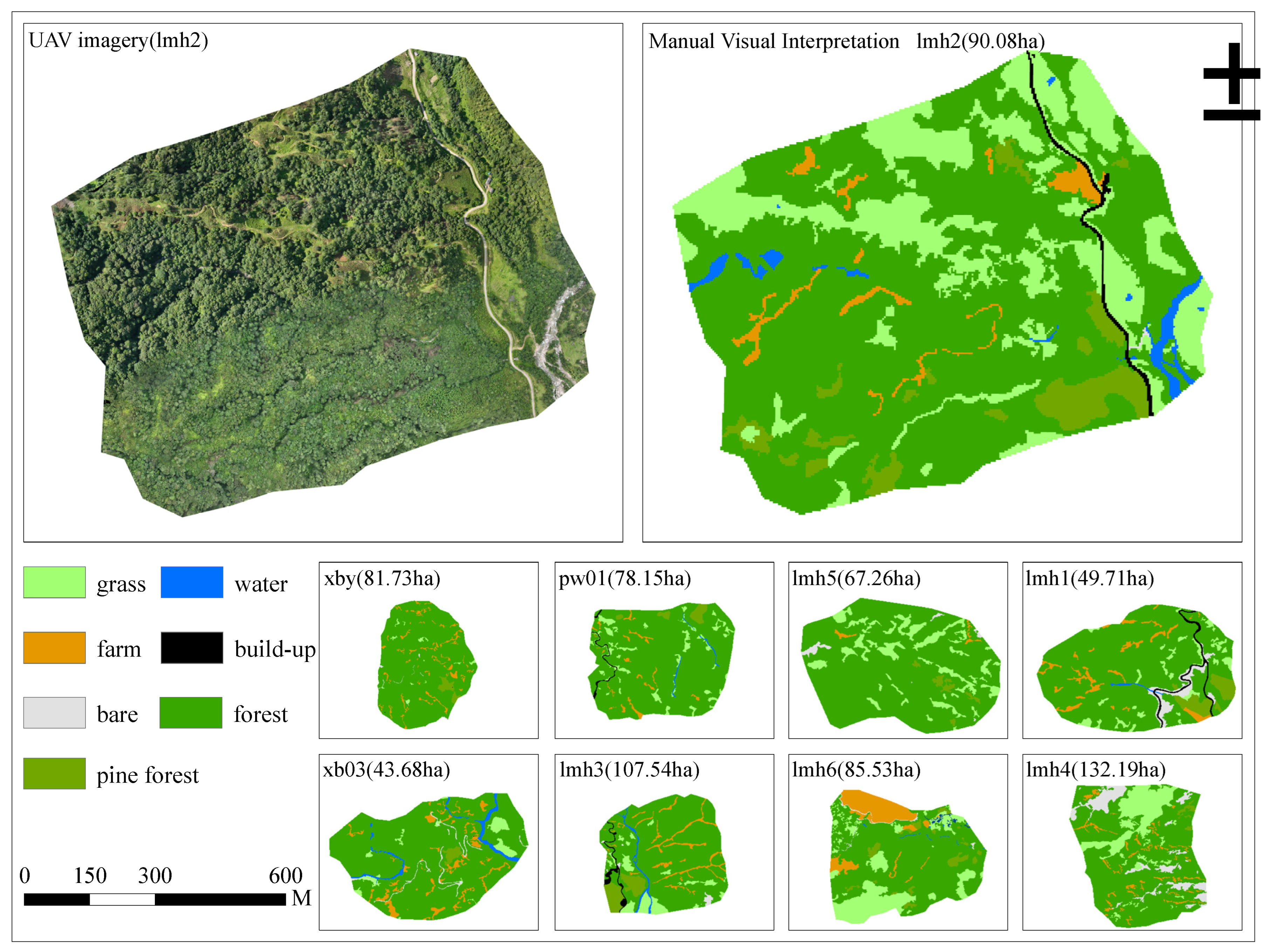 Forests 16 00285 g005