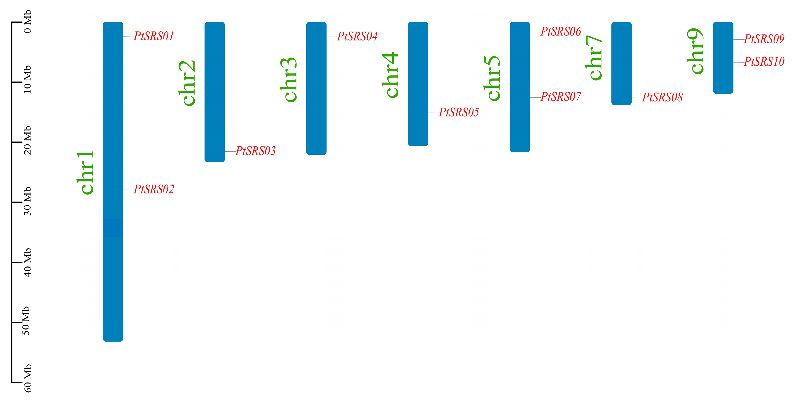 Forests 16 00302 g001