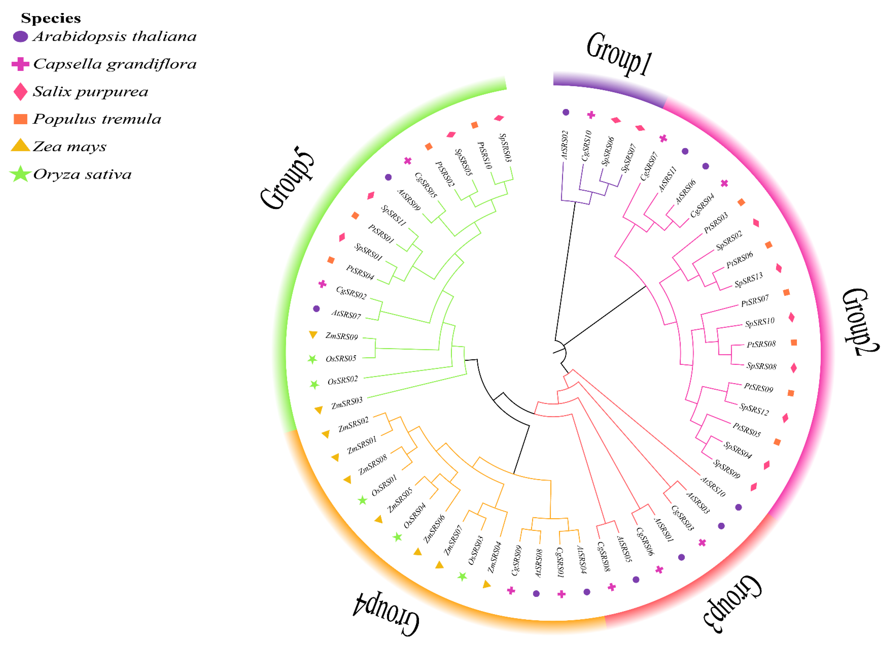Forests 16 00302 g002