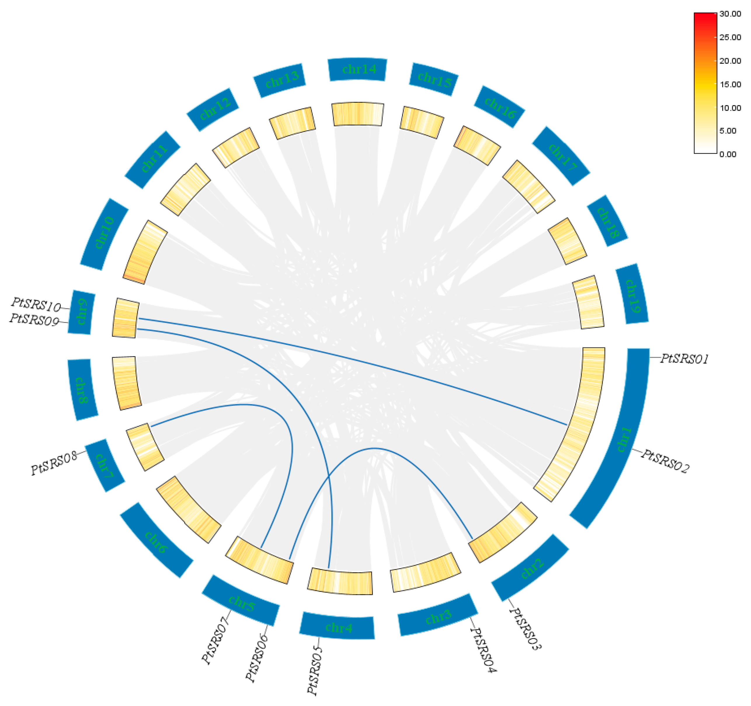 Forests 16 00302 g004