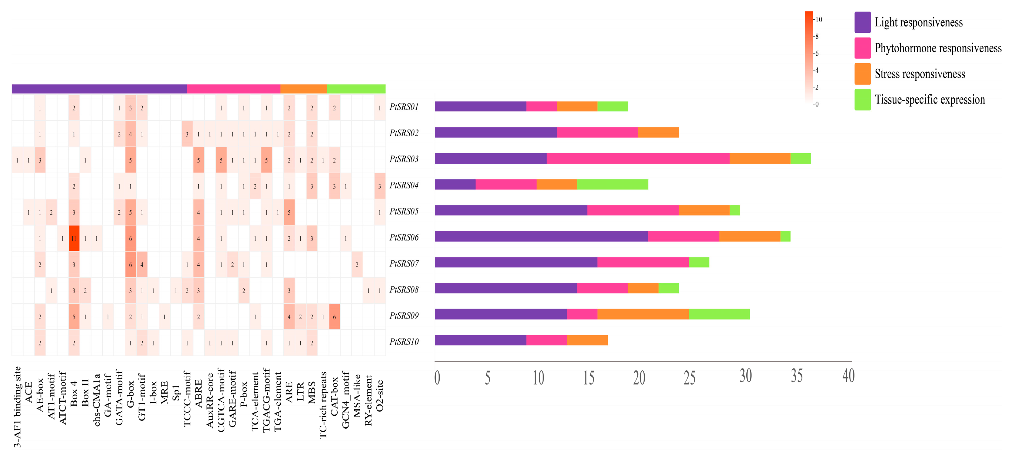Forests 16 00302 g005