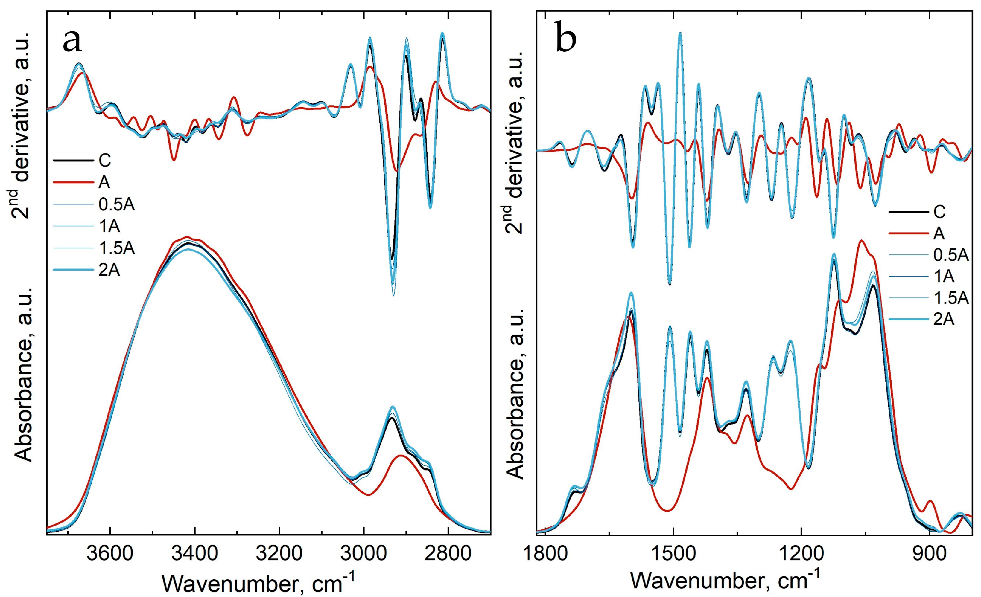 Forests 16 00325 g001