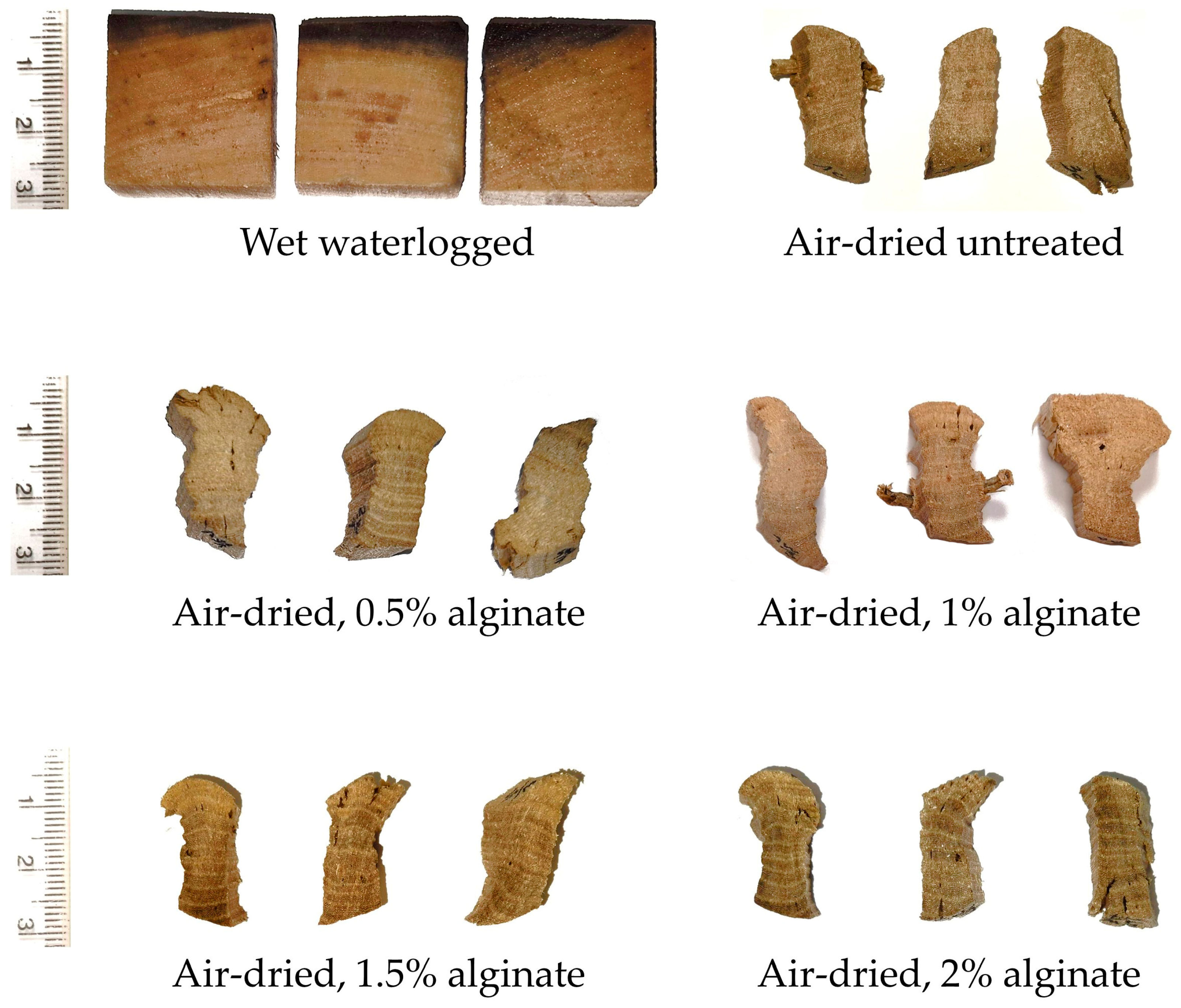 Forests 16 00325 g004