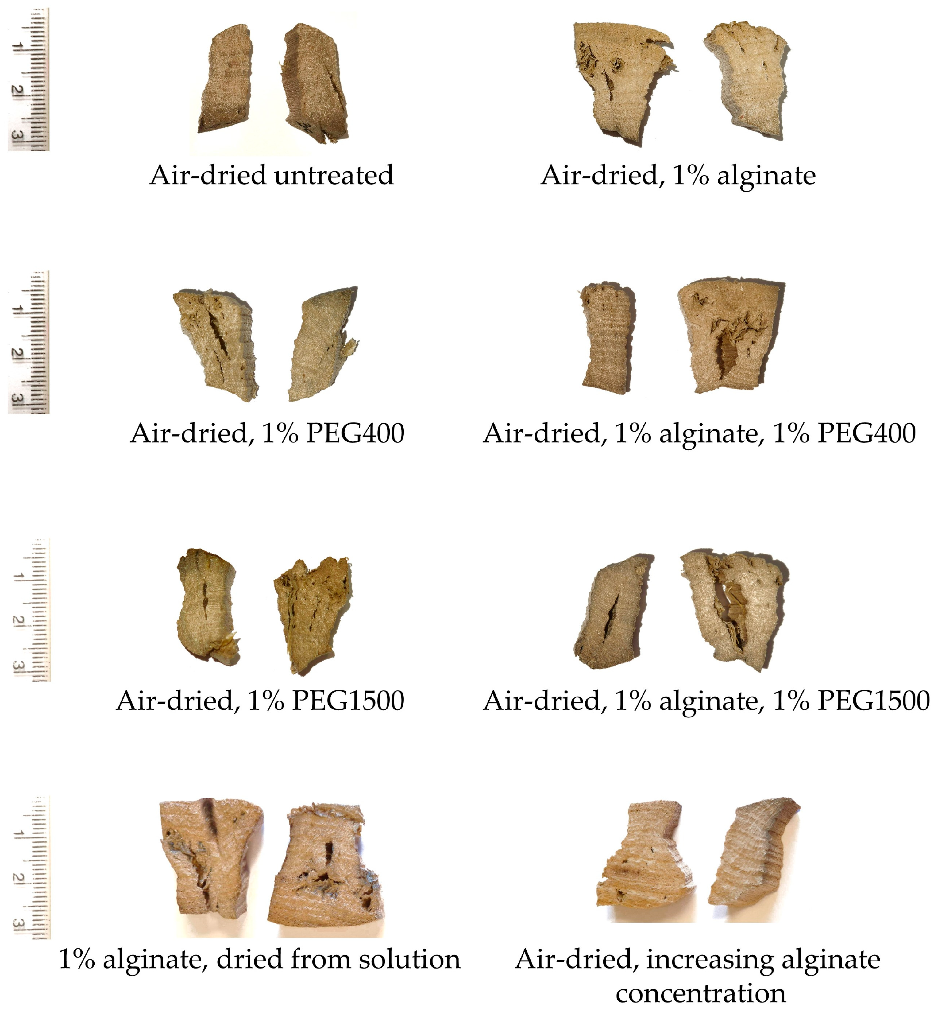 Forests 16 00325 g005