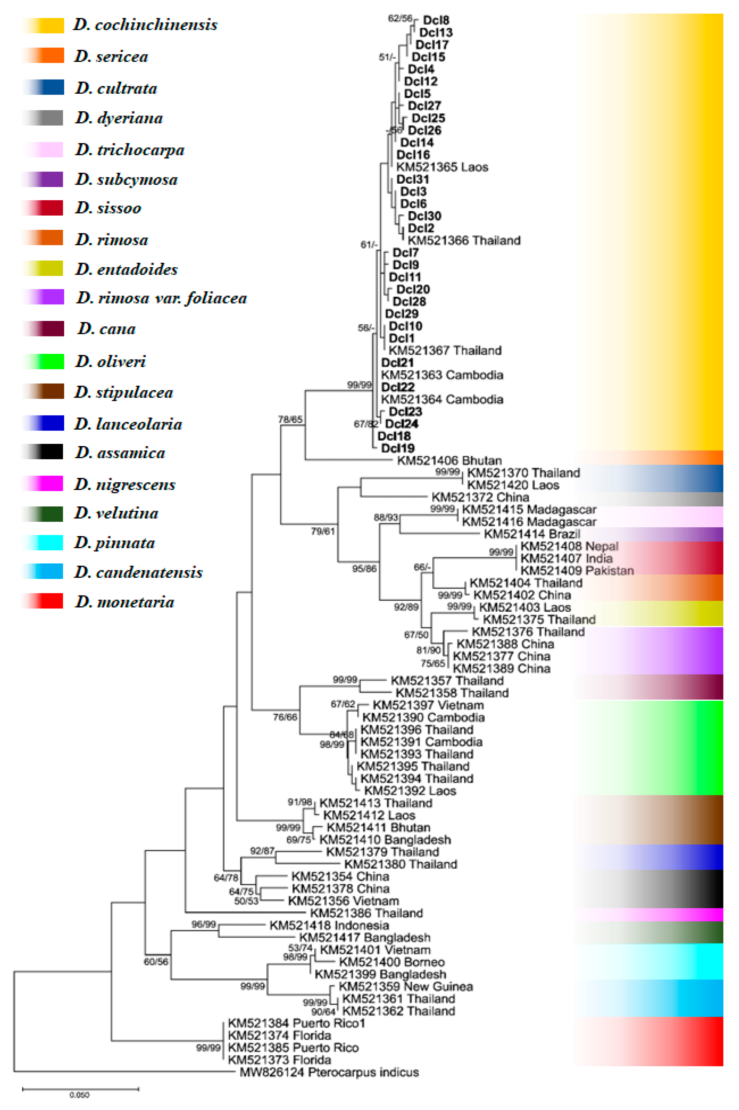 Forests 16 00332 g004