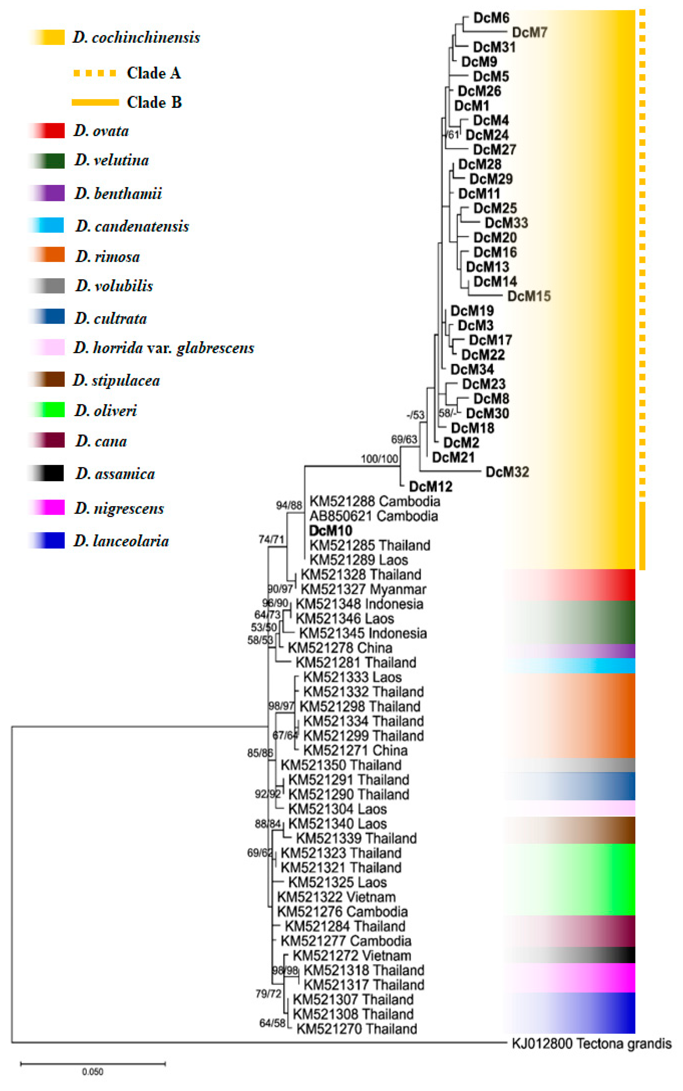 Forests 16 00332 g005