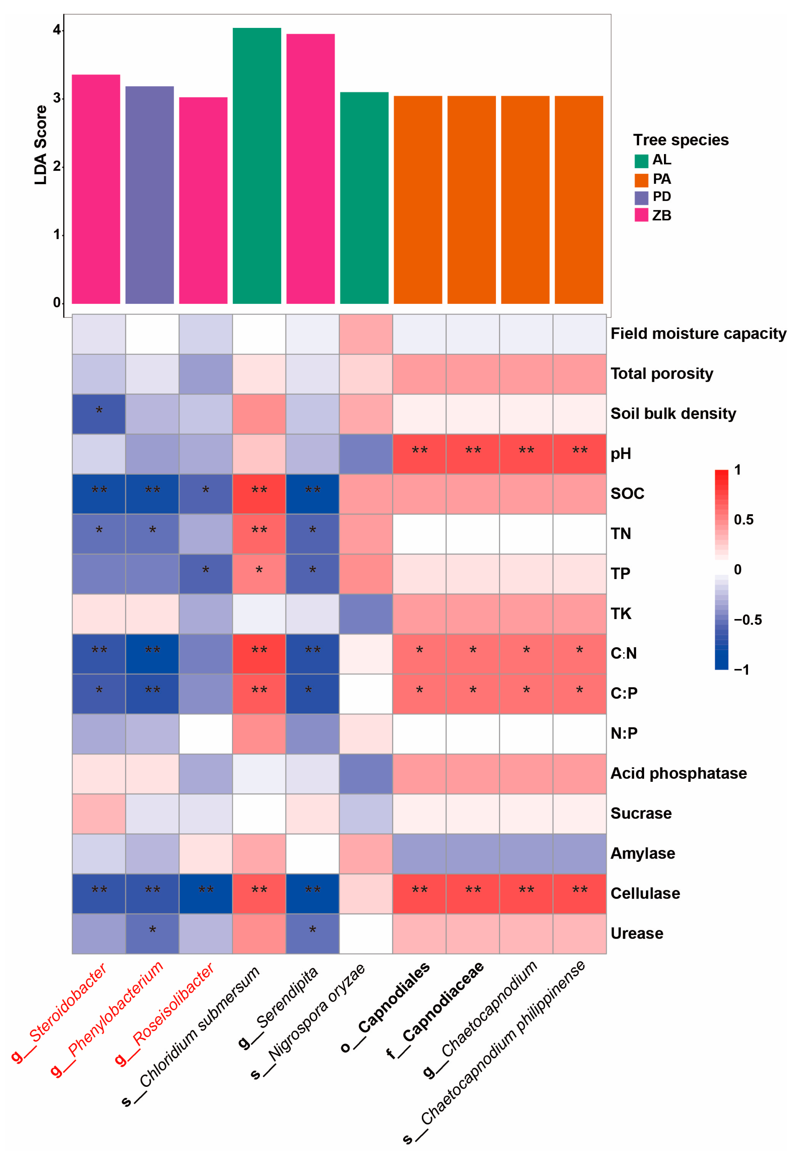Forests 16 00362 g006