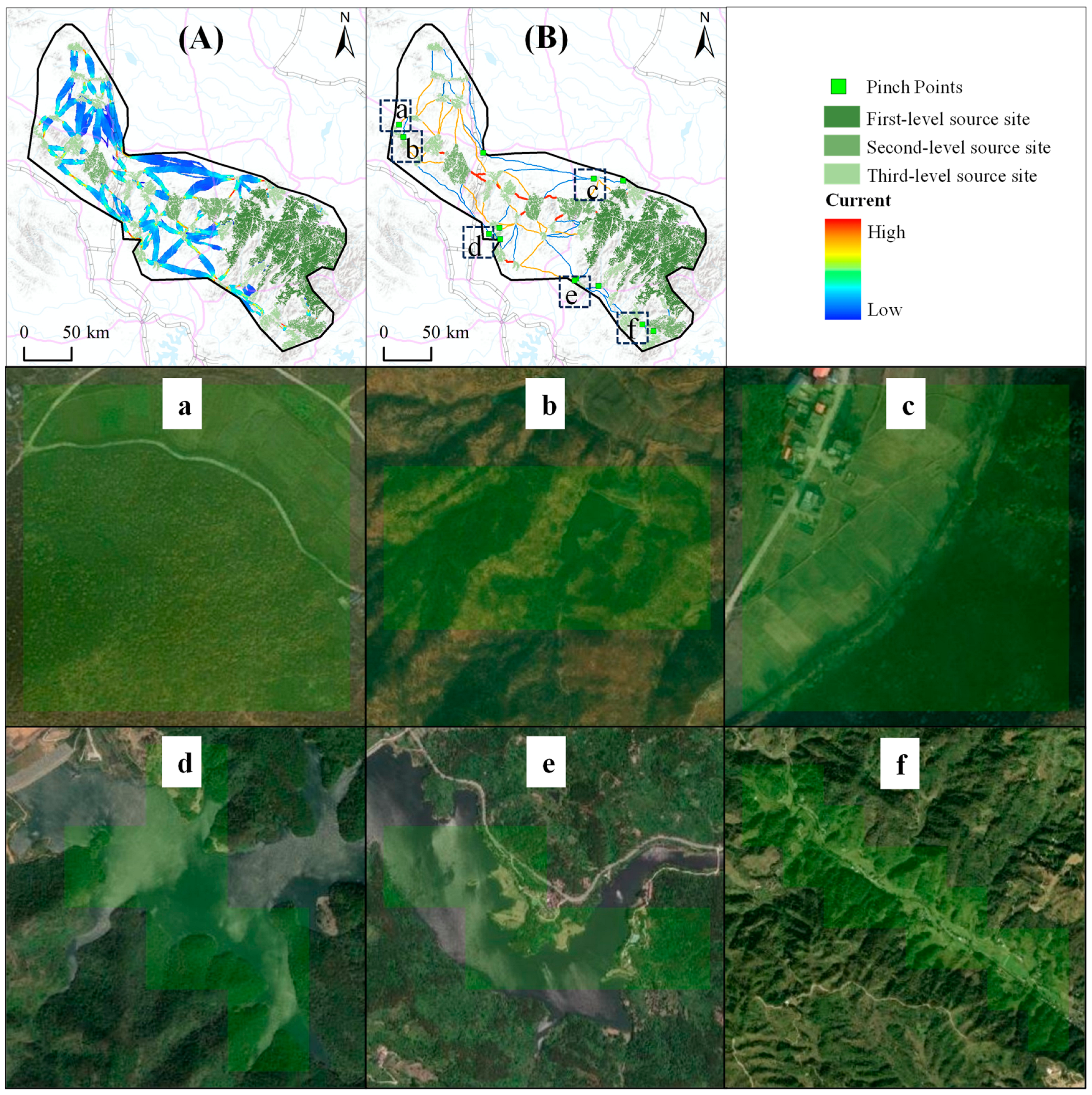 Forests 16 00426 g008