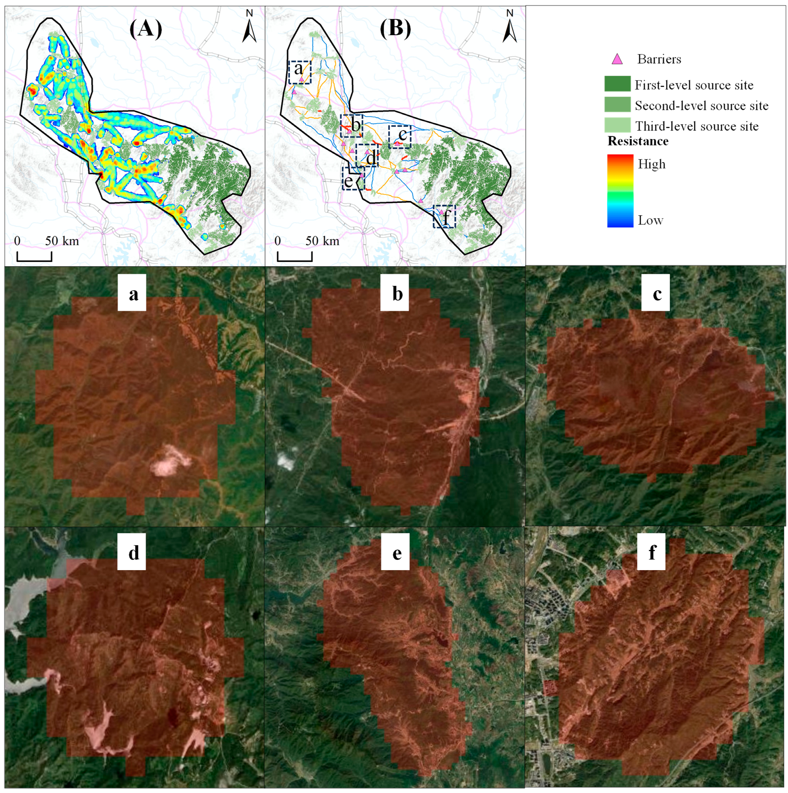 Forests 16 00426 g009