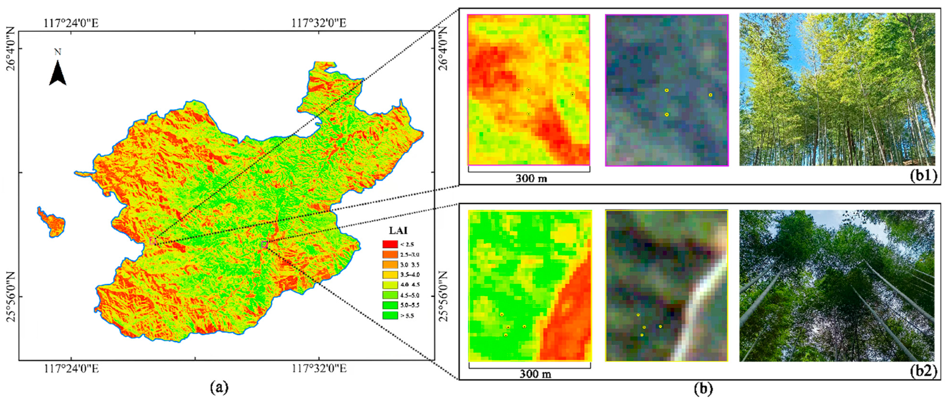 Forests 16 00464 g006